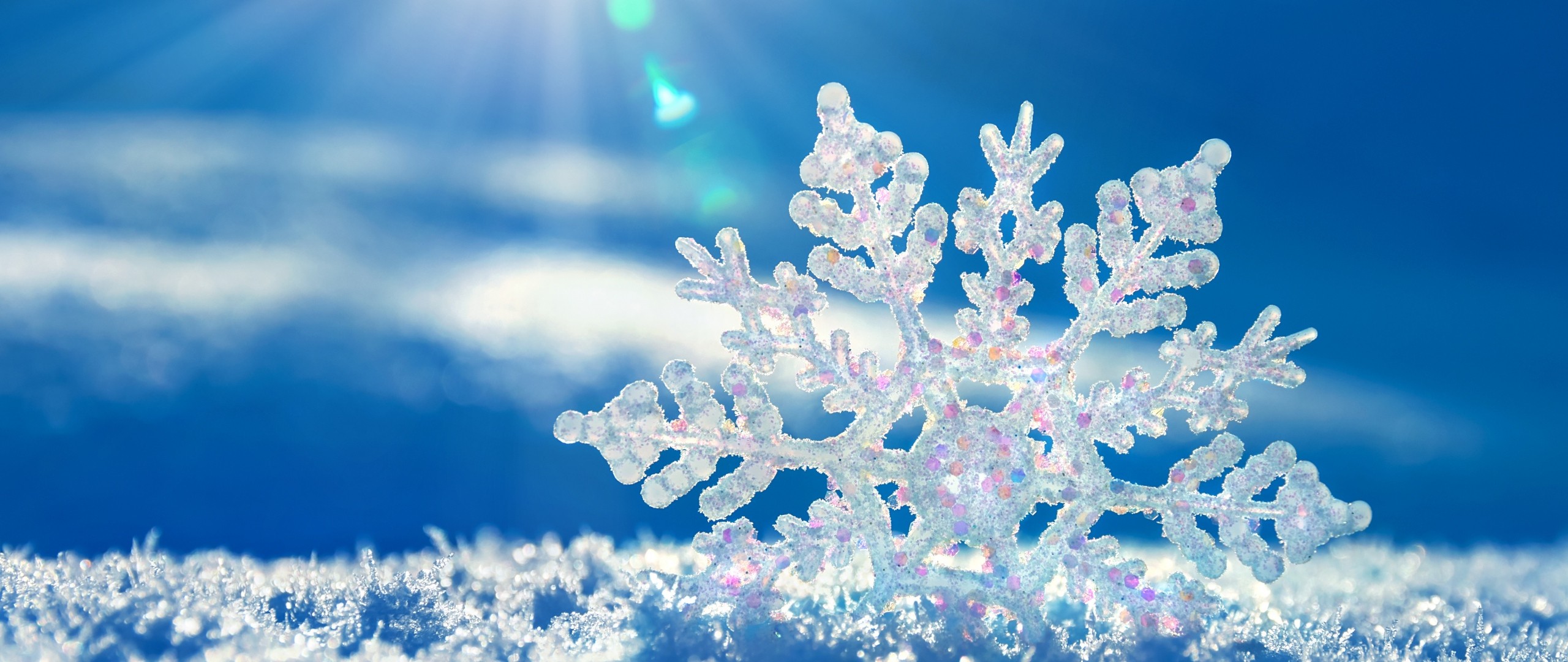 Wallpaper, white, winter, branch, blue, ice, frost, ultrawide, Christmas Tree, bright, Freezing, snow flakes, tree, flower, season 2560x1080