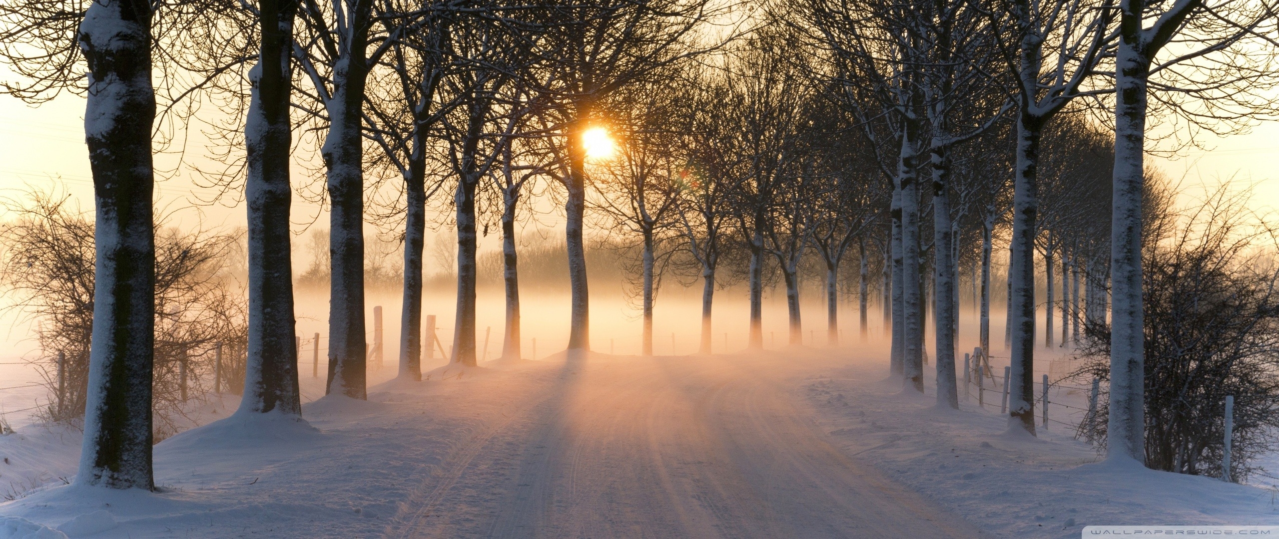 Desktop Wallpaper 2560x1080