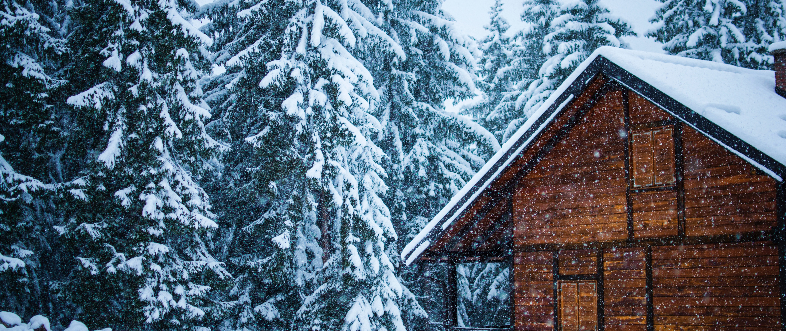 Download Snowfall, house, tree, snow layer, winter wallpaper, 2560x1080, Dual Wide, Widescreen