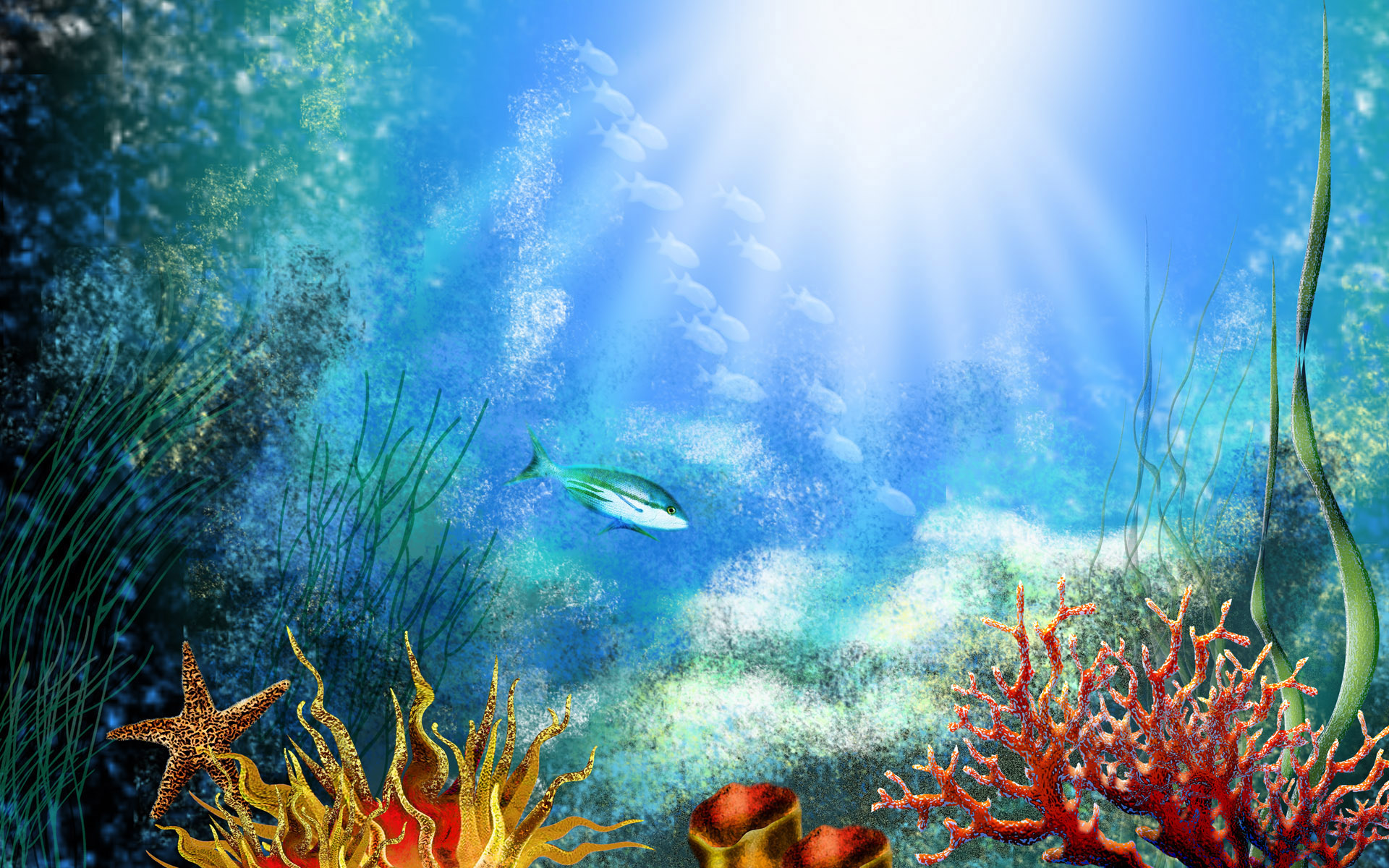 underwater scenery wallpaper