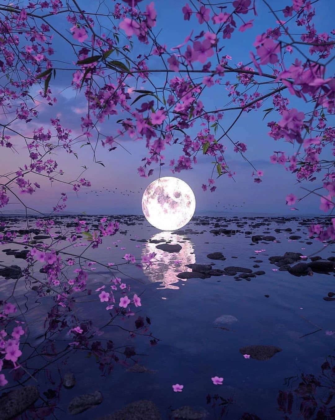 Moon ❤ ideas. beautiful moon, beautiful nature, moon picture