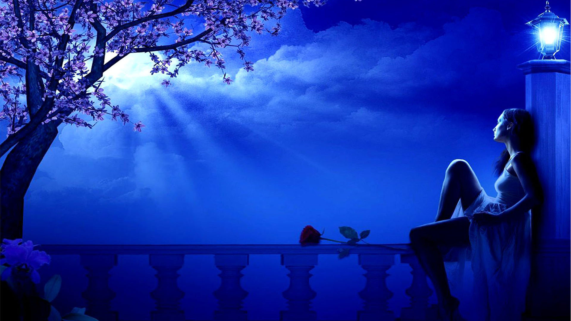 Blue Moon spring night girl dreamer blossoming tree street lamp romantic Wallpaper HD for Desktop, Wallpaper13.com