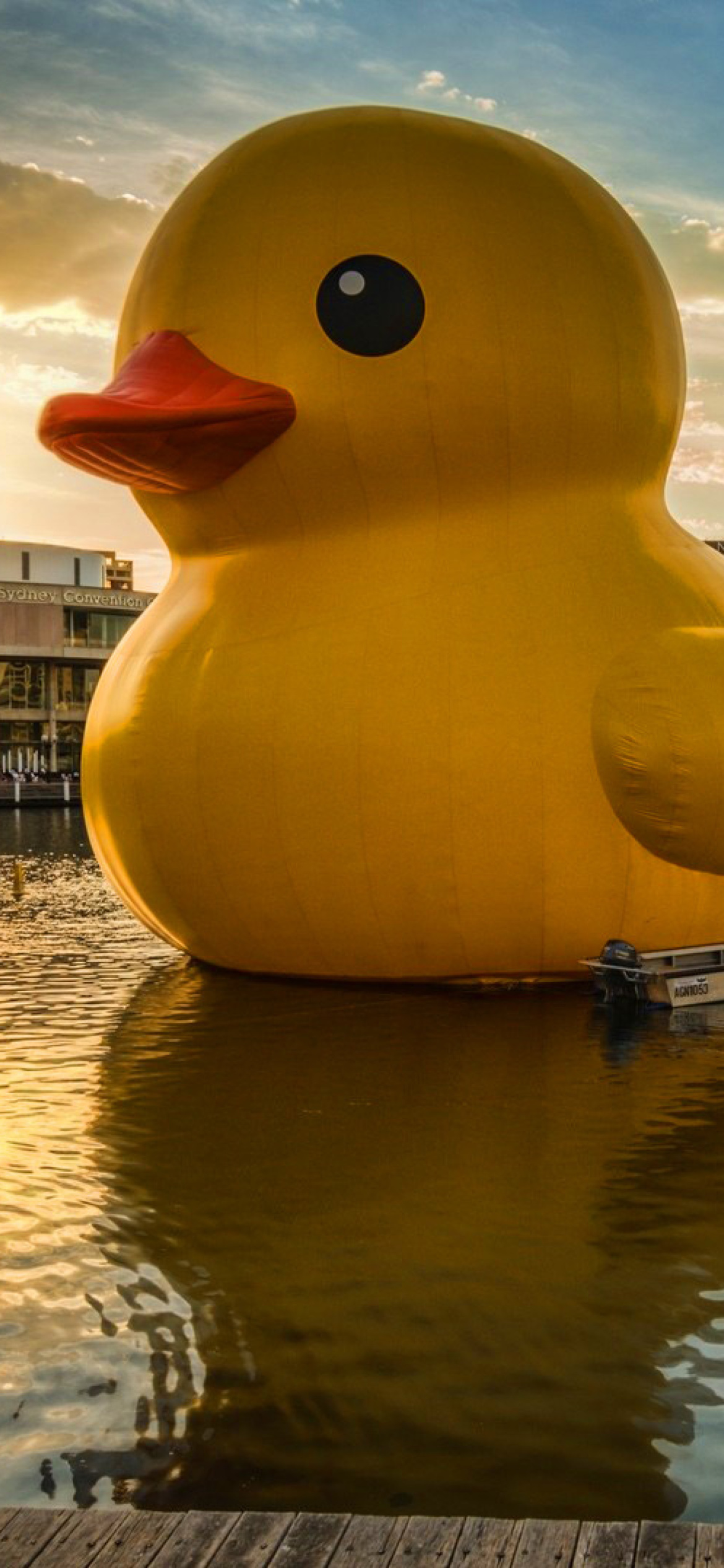 Giant Yellow Duck Wallpaper for iPhone 12 Pro