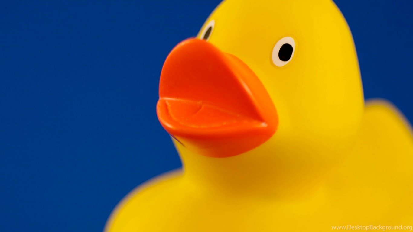 Yellow Duck Wallpaper Desktop Background