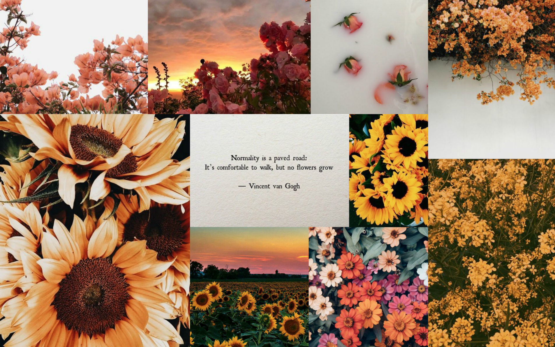 macbook pro desktop wallpaper. Macbook wallpaper, Flower iphone wallpaper, Sunflower iphone wallpaper