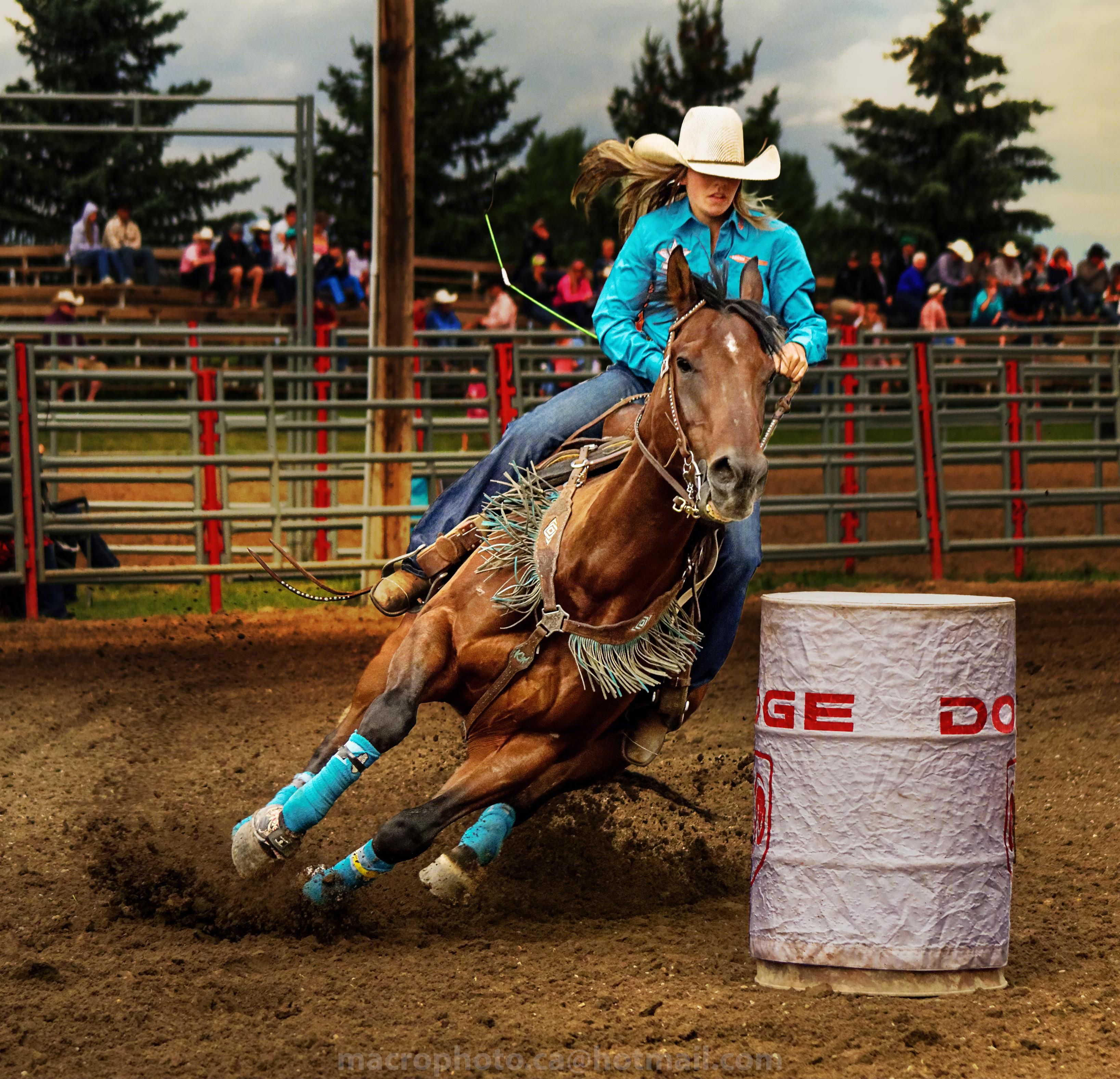 ITAP of some colorful barrel racing by DG_Pop. .. . #photos #amazingworld #world #amazingphotogr. Barrel racing photo, Barrel racing photography, Barrel racing