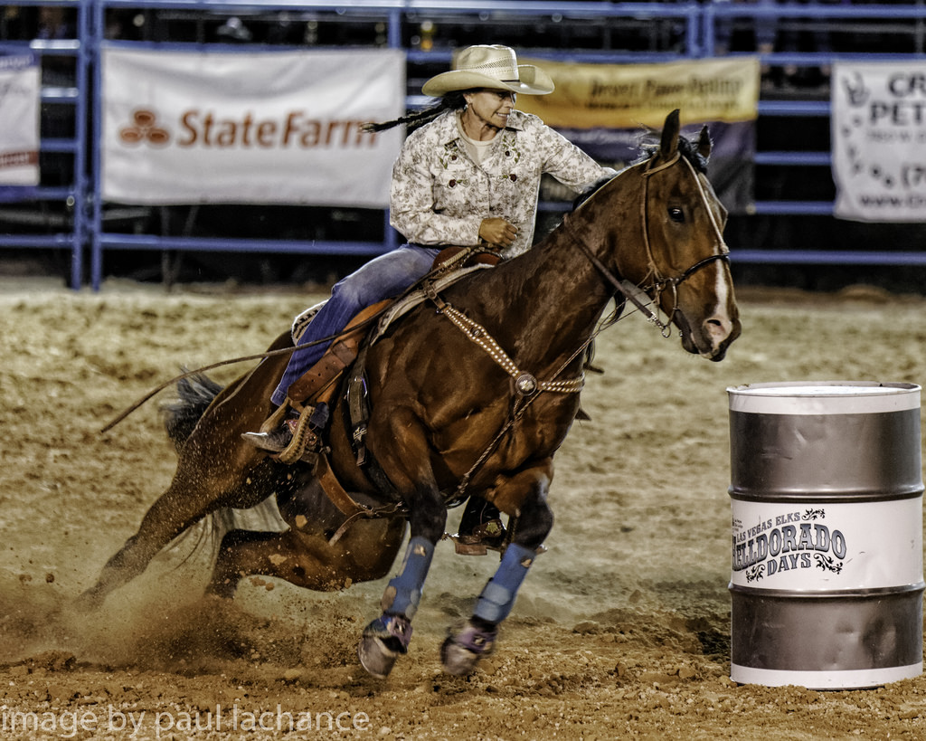 Wallpaper, wrangler, cowgirl, Rein, action, lasvegas, competition, mare, cowboy, rodeo, ranch, animal sports, stallion, equestrian sport, mustang horse, pack animal, bridle, horse tack, western riding, barrel racing, reining, horse harness, hunt