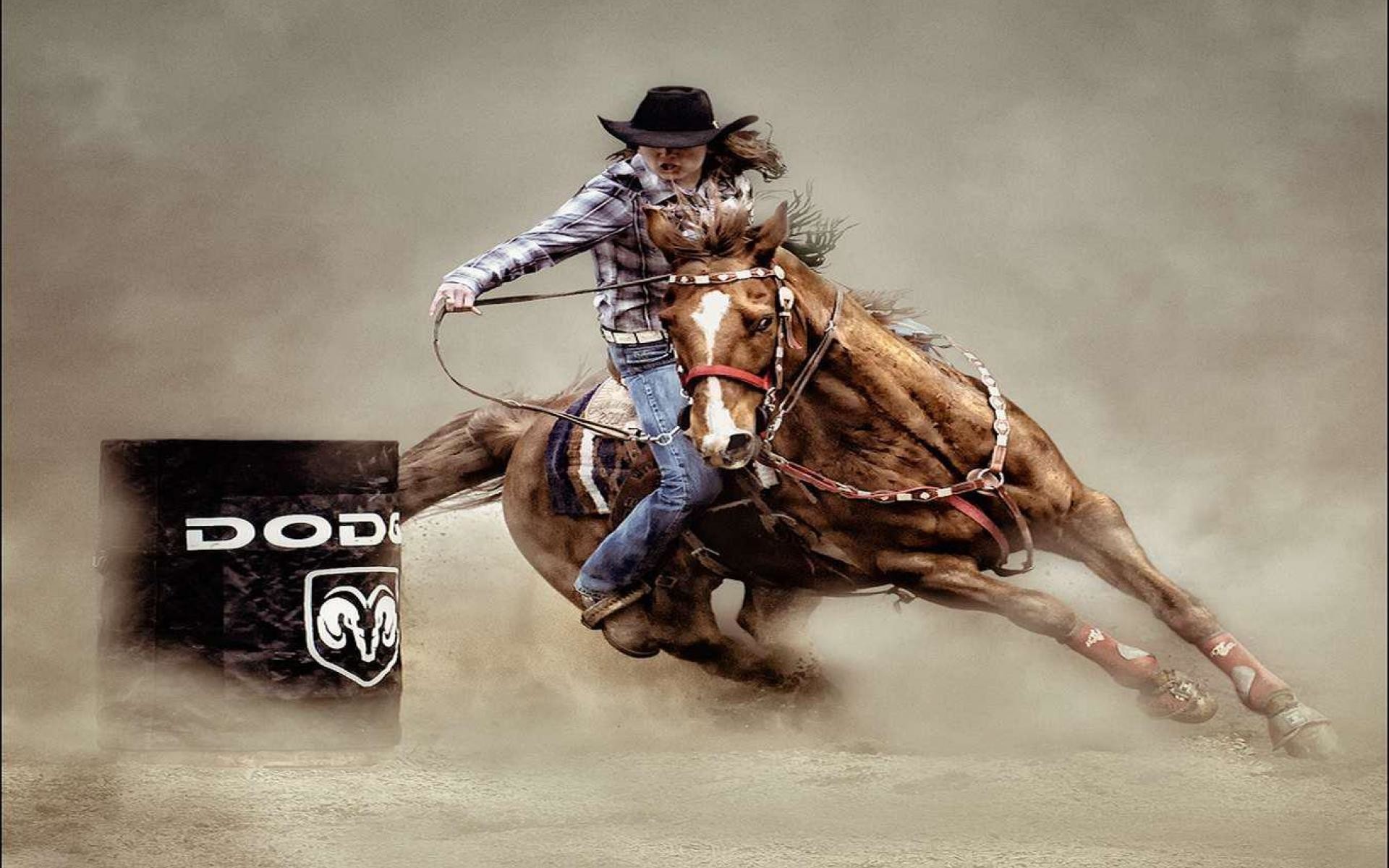 rodeo wallpaper, reining, rein, barrel racing, animal sports, western riding