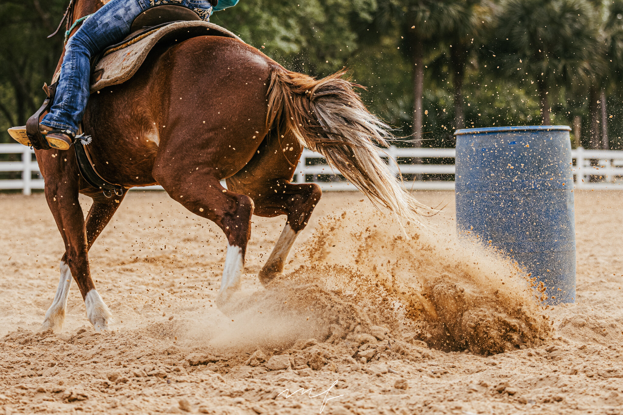 Learning New things. Barrel Racing in Florida