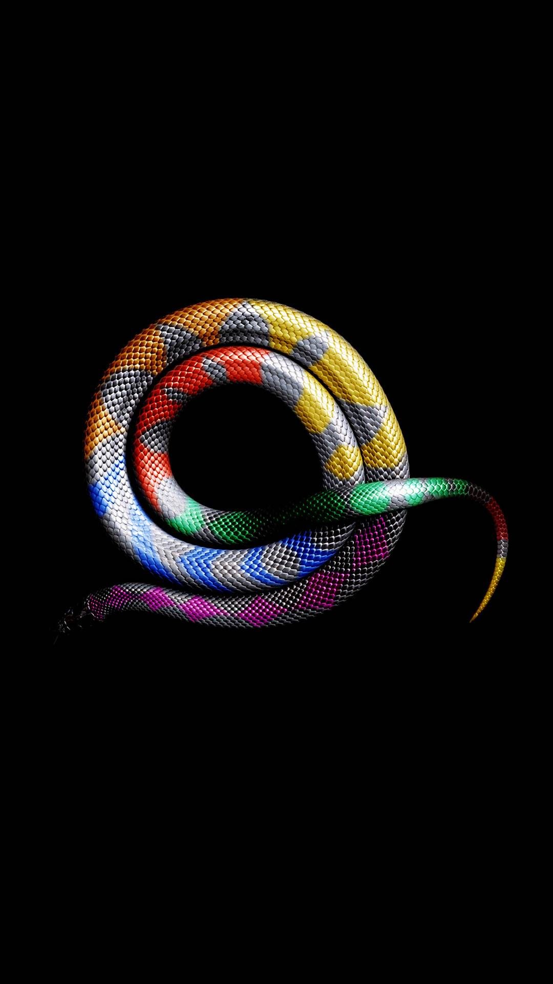 Snake, Scaled Reptile, Graphics, Reptile, iPhone Wallpaper Snake HD Wallpaper