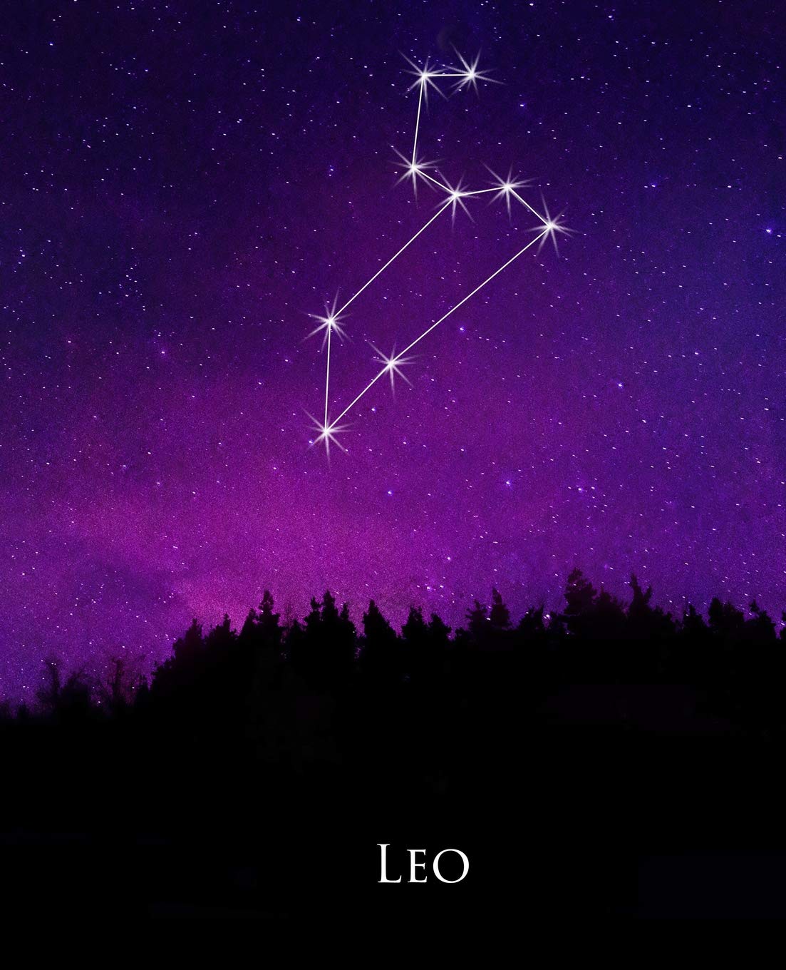 School Composition Book Leo Constellation Night Sky Astrology Symbol 130 Pages: (Astrology Zodiac Signs Horoscope Symbols Journals Notebooks Diaries School Composition Books): Journals, Distinctive: 9781074643416: Books