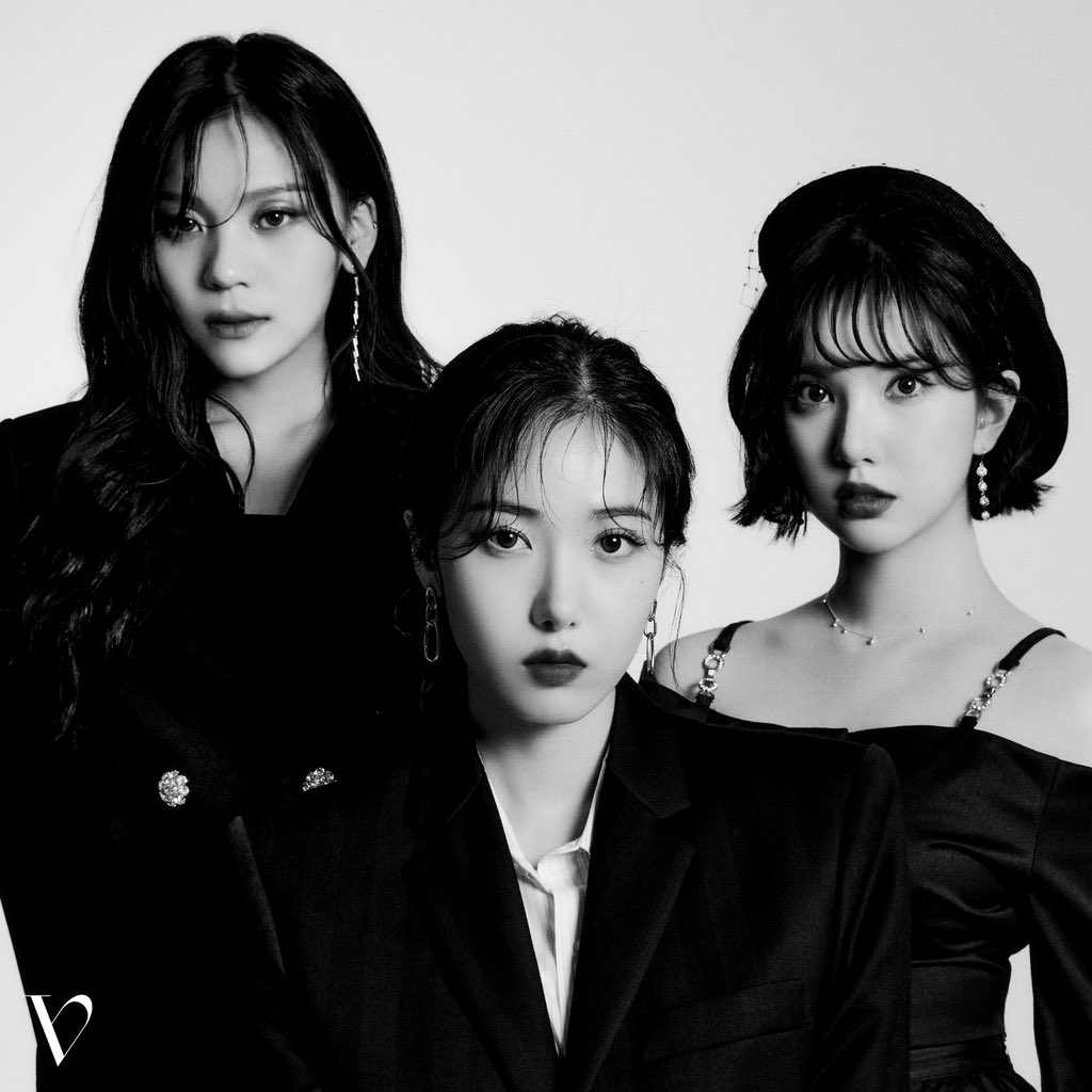 VIVIZ Group + Individual Photo