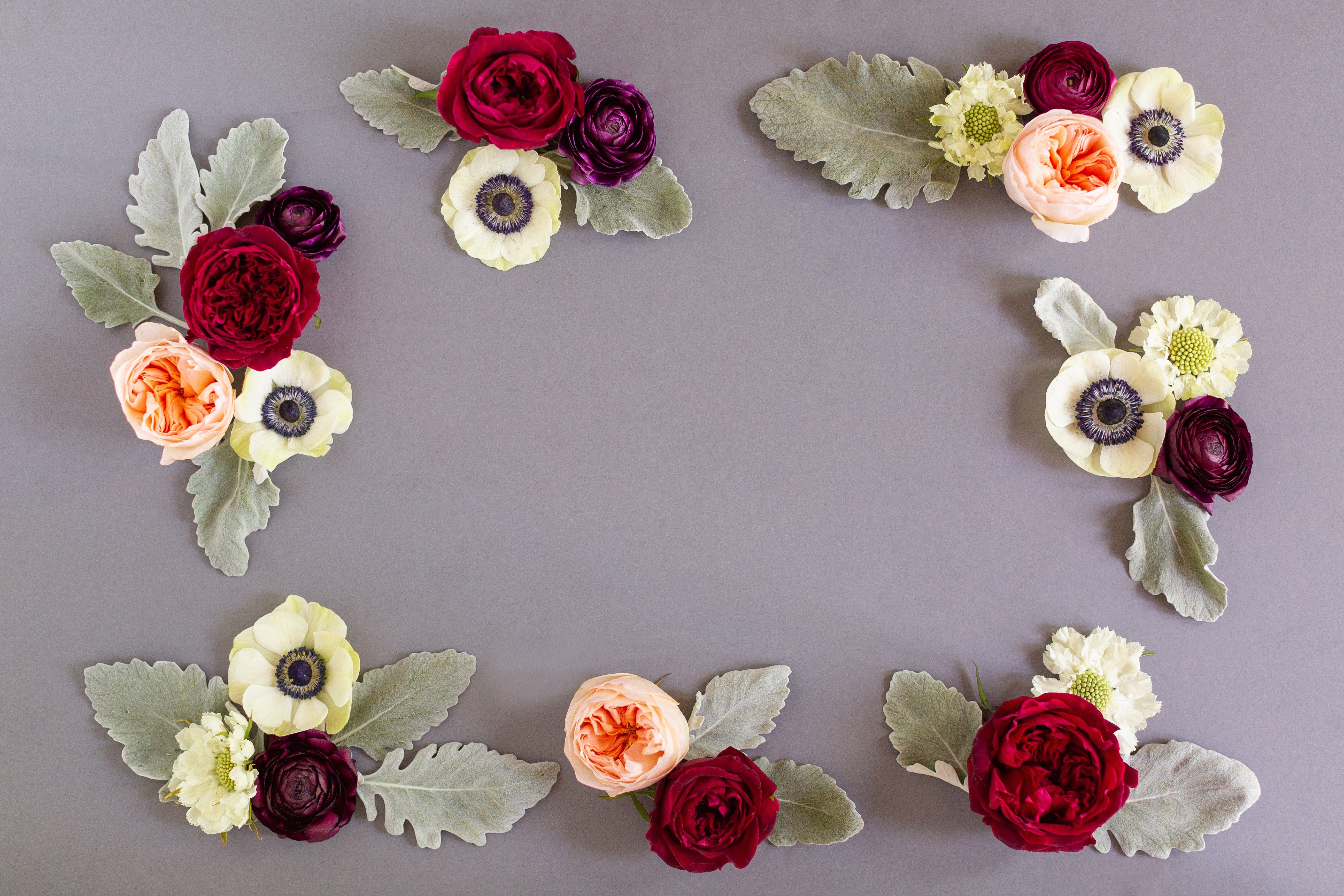 wow so cool. Bloom, Free desktop wallpaper, Desktop wallpaper