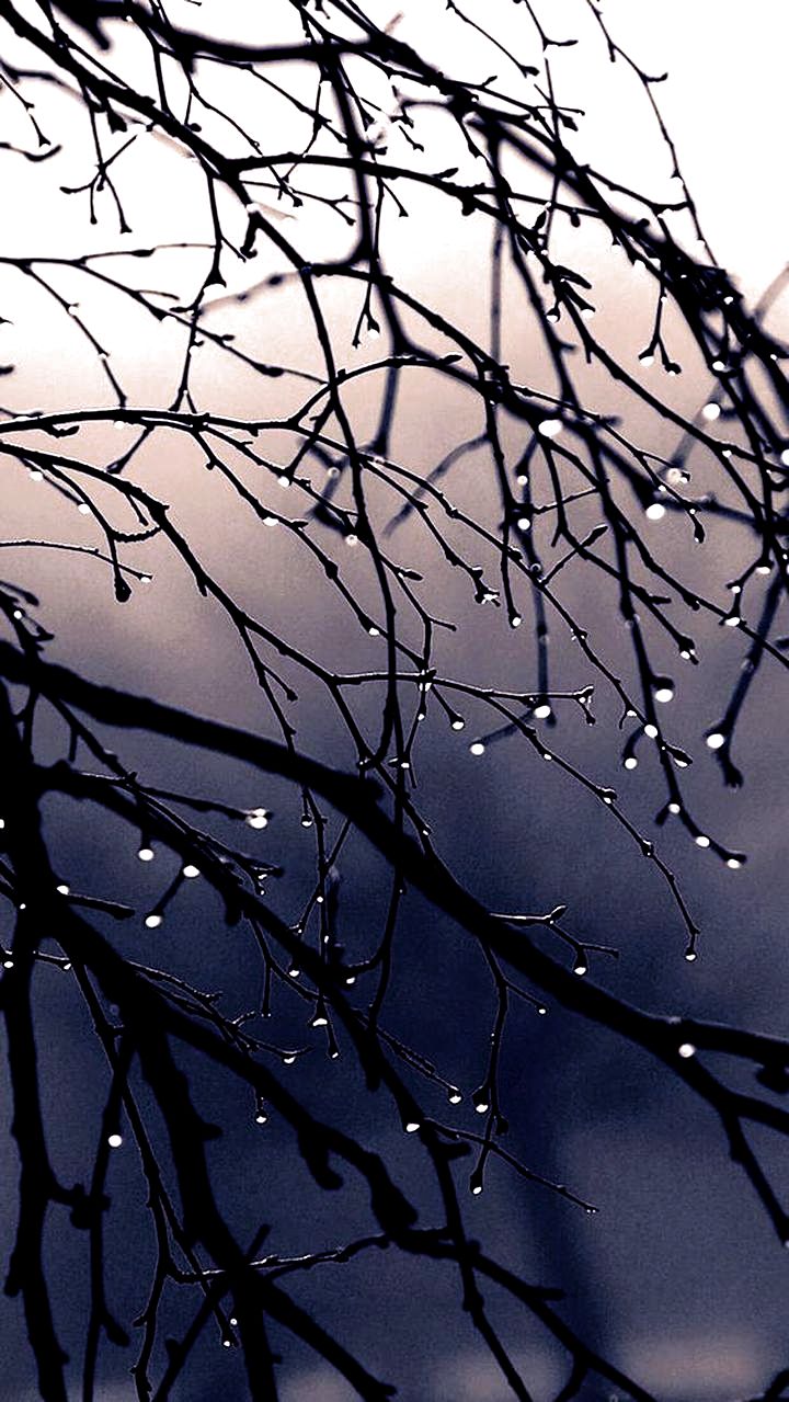 HD wallpaper. HD wallpaper iphone, Rain wallpaper, iPhone wallpaper image