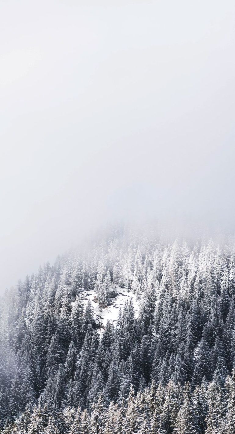 Winter iPhone wallpaper Wallpaper