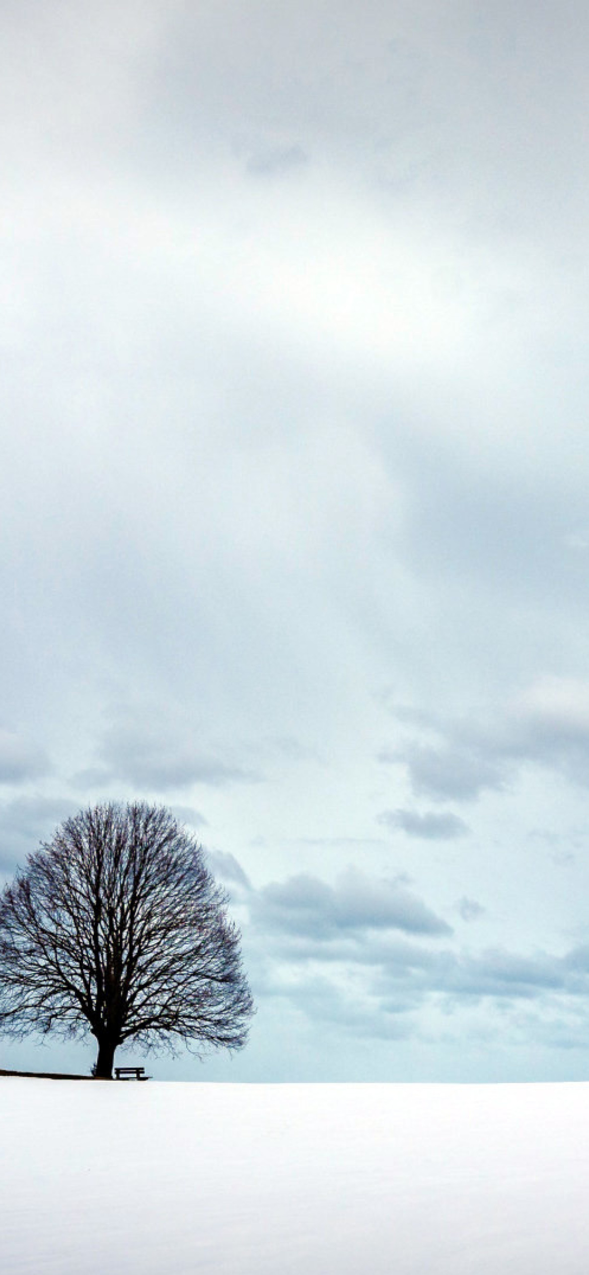 Austria Winter Landscape Wallpaper for iPhone XR