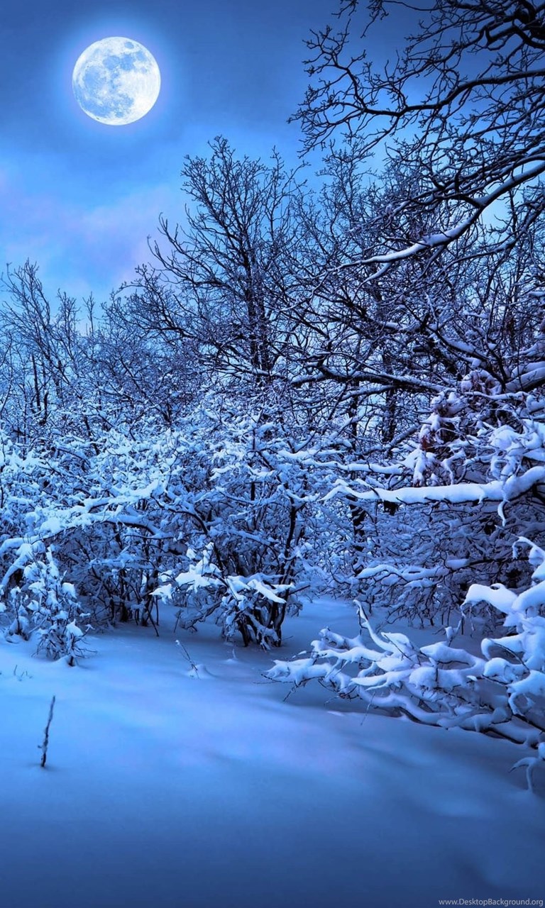 Winter iPhone Wallpaper Desktop Background