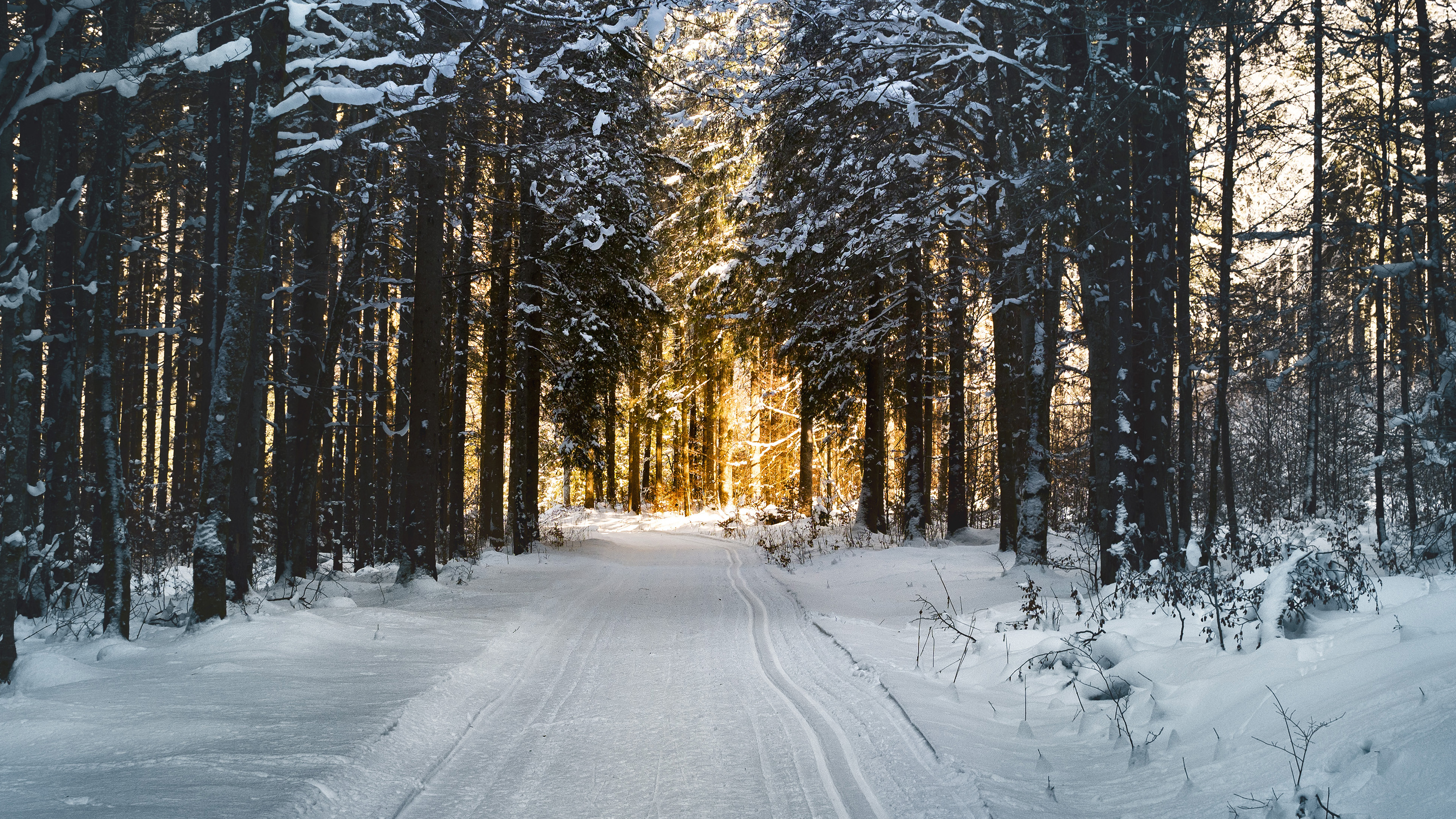 Snow Street Mountain Light Winter Nature Wallpaper