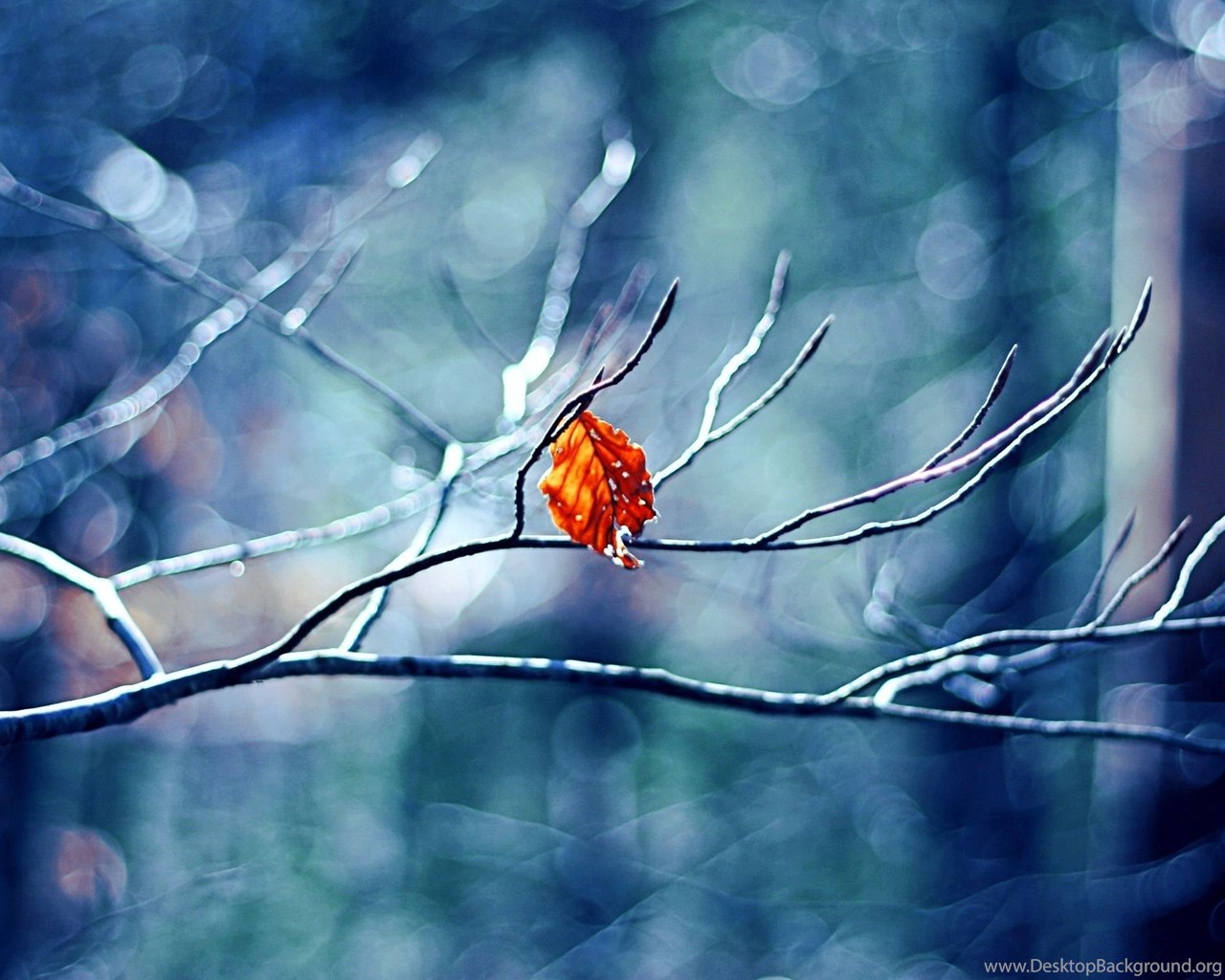 Winter Macbook Air Wallpapers - Wallpaper Cave