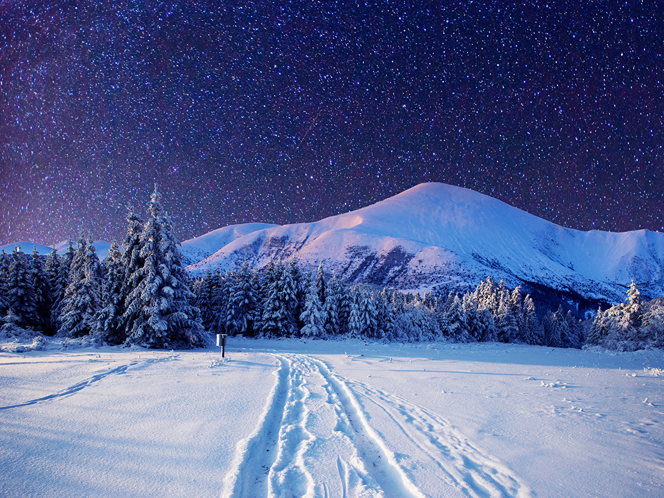 Desktop Wallpaper Stars Winter Spruce Nature mountain Sky Snow