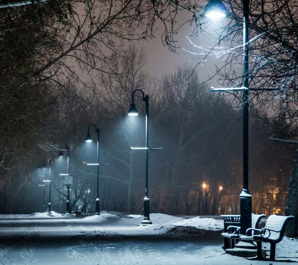 Winter night scene. Lamp post, Free winter wallpaper, Snow picture