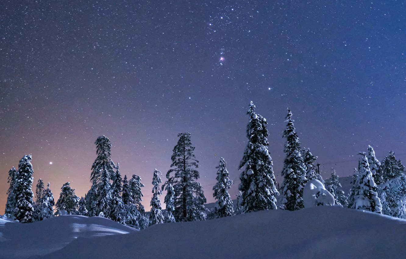 Wallpaper winter, the sky, snow, trees, stars, the snow, starry sky image for desktop, section пейзажи