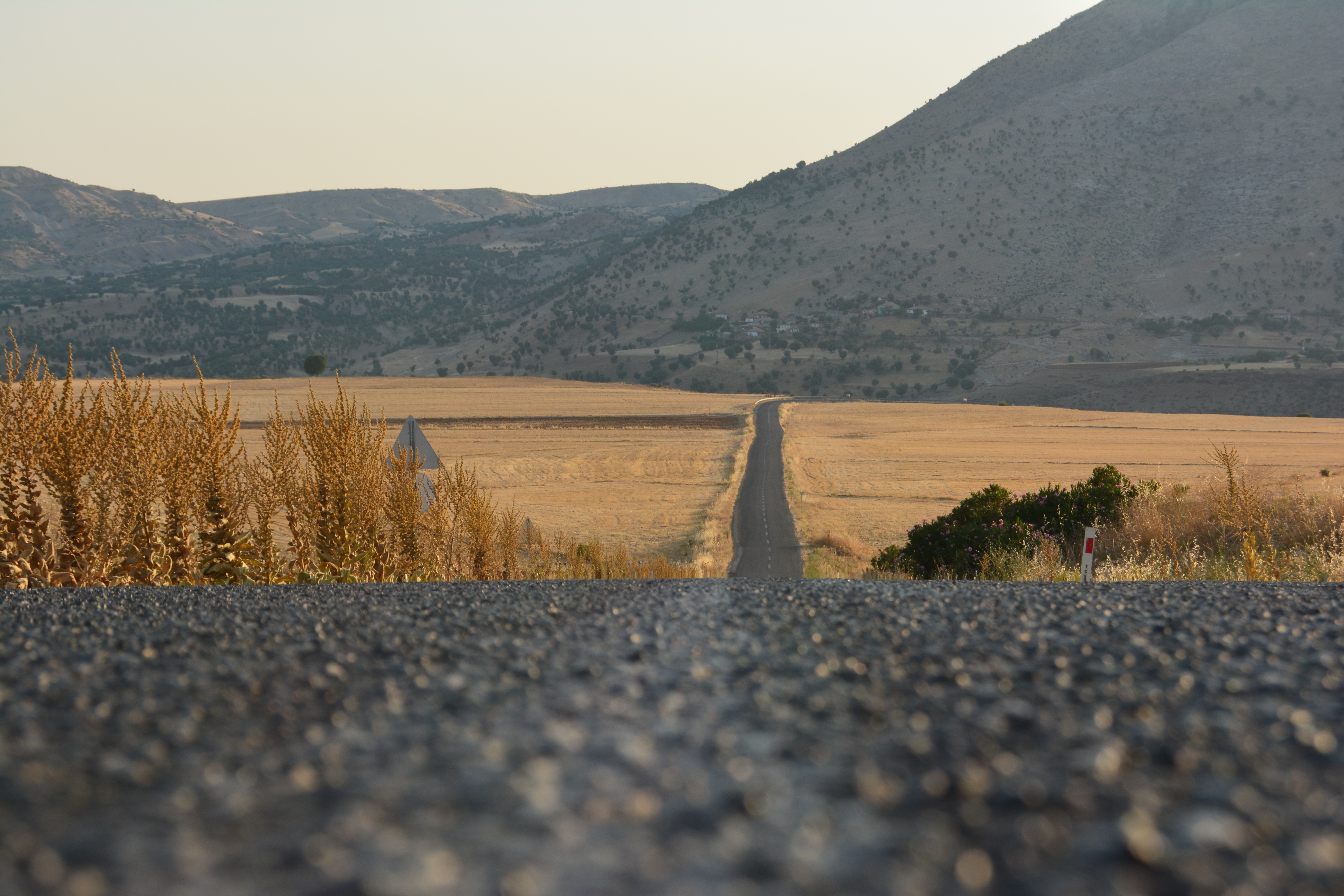 Wallpaper, Turkey, amateur, photographer, nature, summer 6000x4000.fatihgöçer