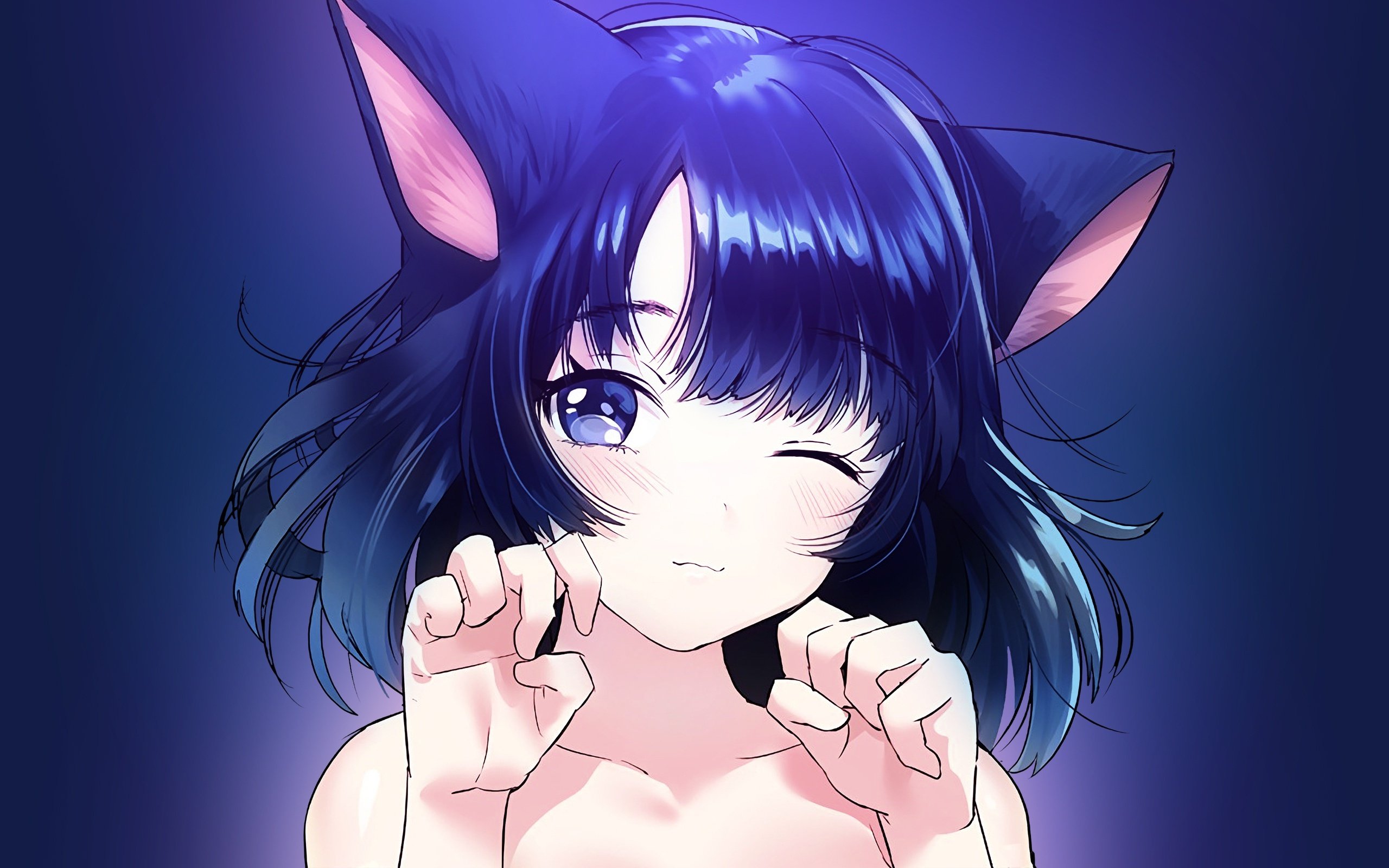 HD wallpaper anime girl cat ears neko wink blue hair young adult  hairstyle  Wallpaper Flare
