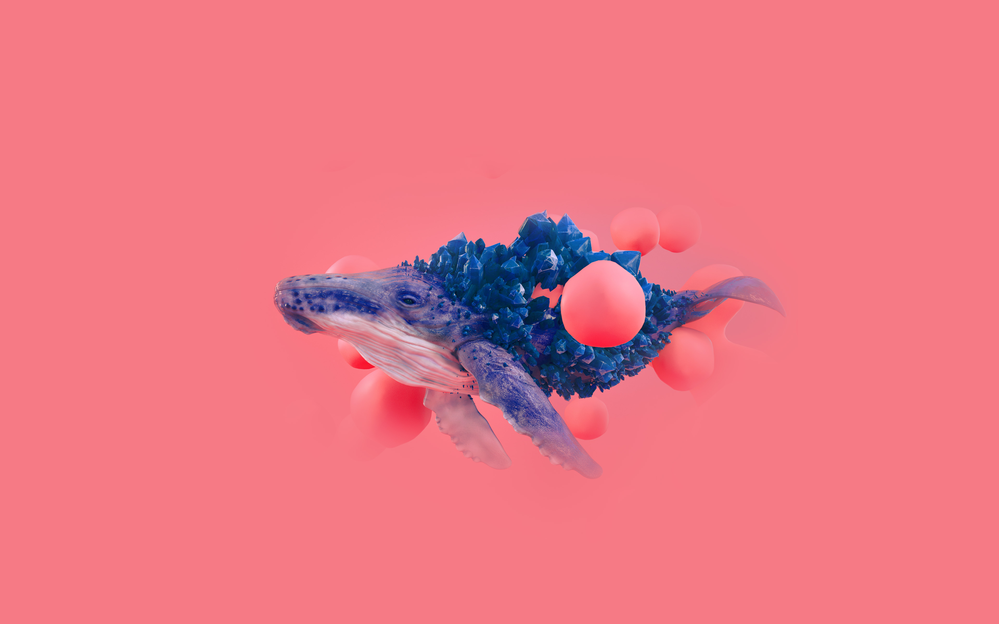 Whale Pink Bubble Illustration Digital Art Animal Blue Wallpaper