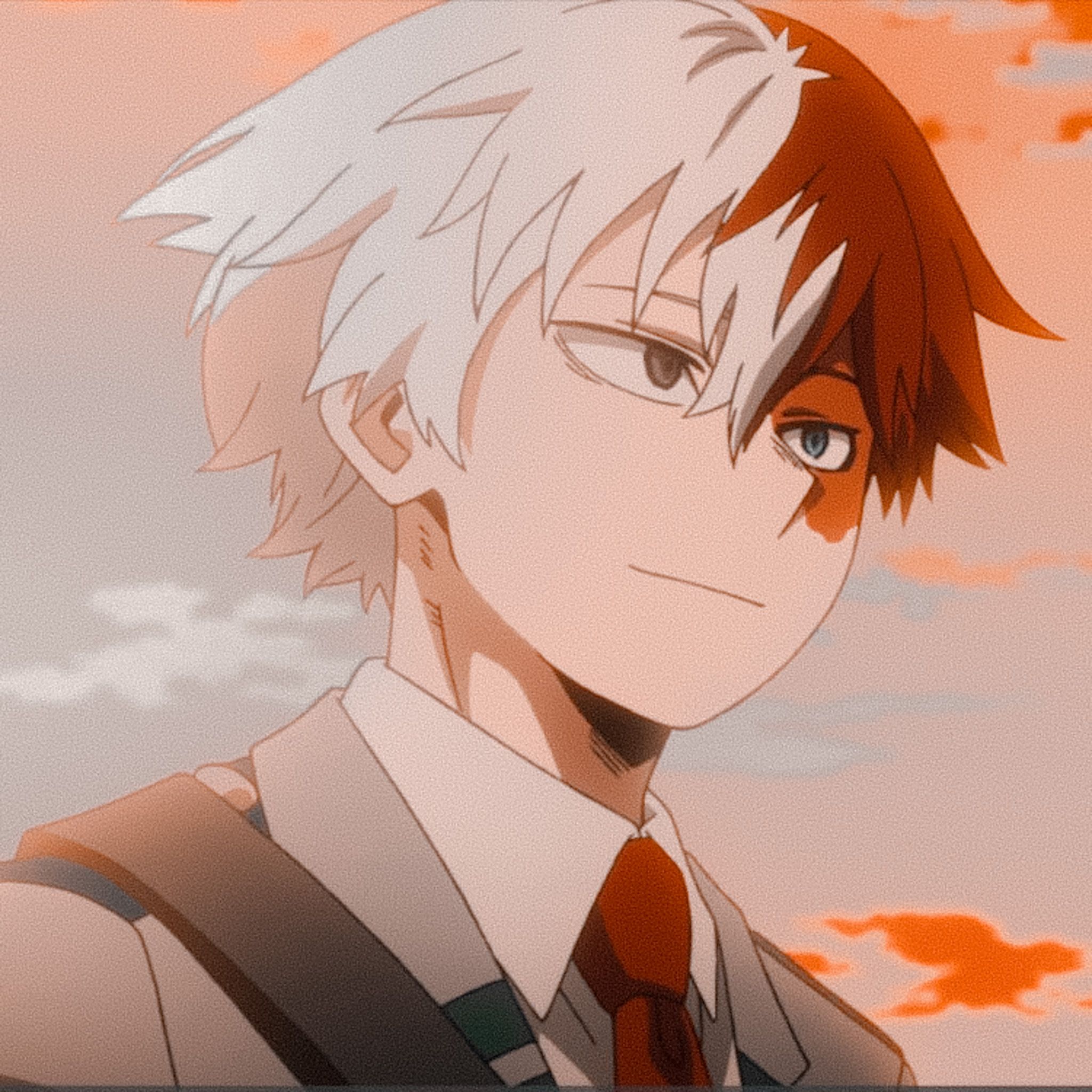 Aesthetic Todoroki Profile Pics