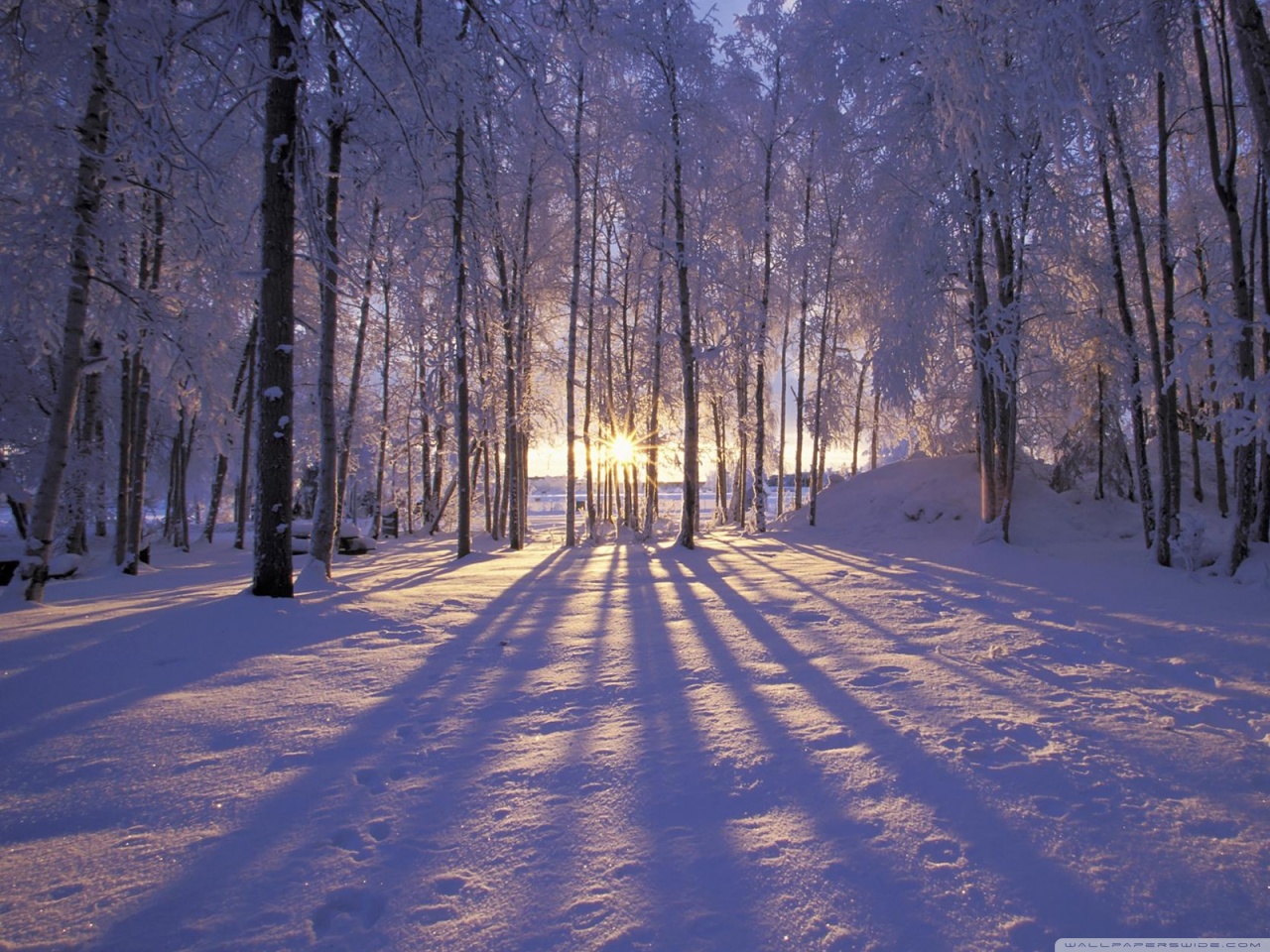 Winter is Coming Ultra HD Desktop Background Wallpaper for 4K UHD TV, Tablet