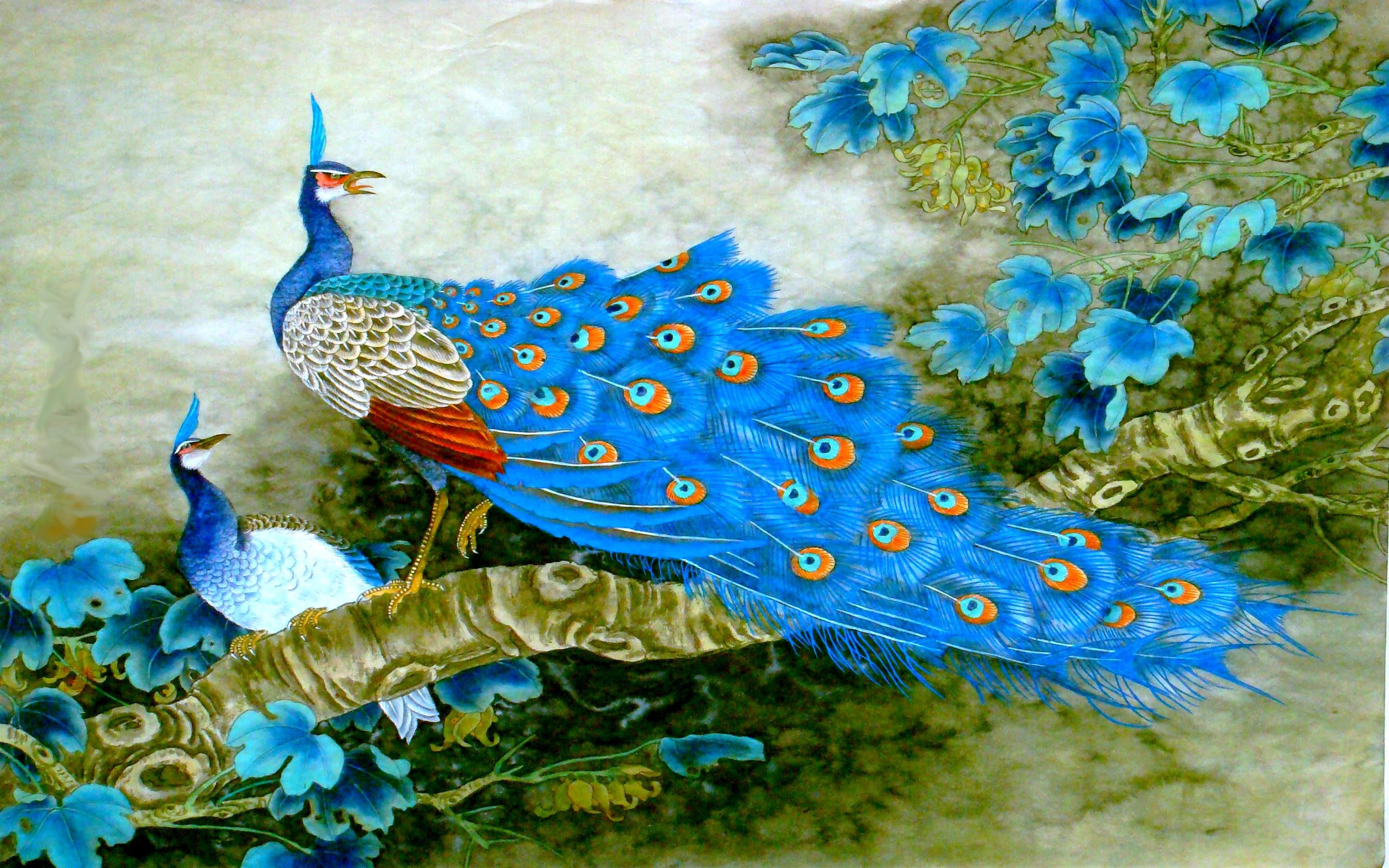 Peacock Painting Wallpapers - Wallpaper Cave