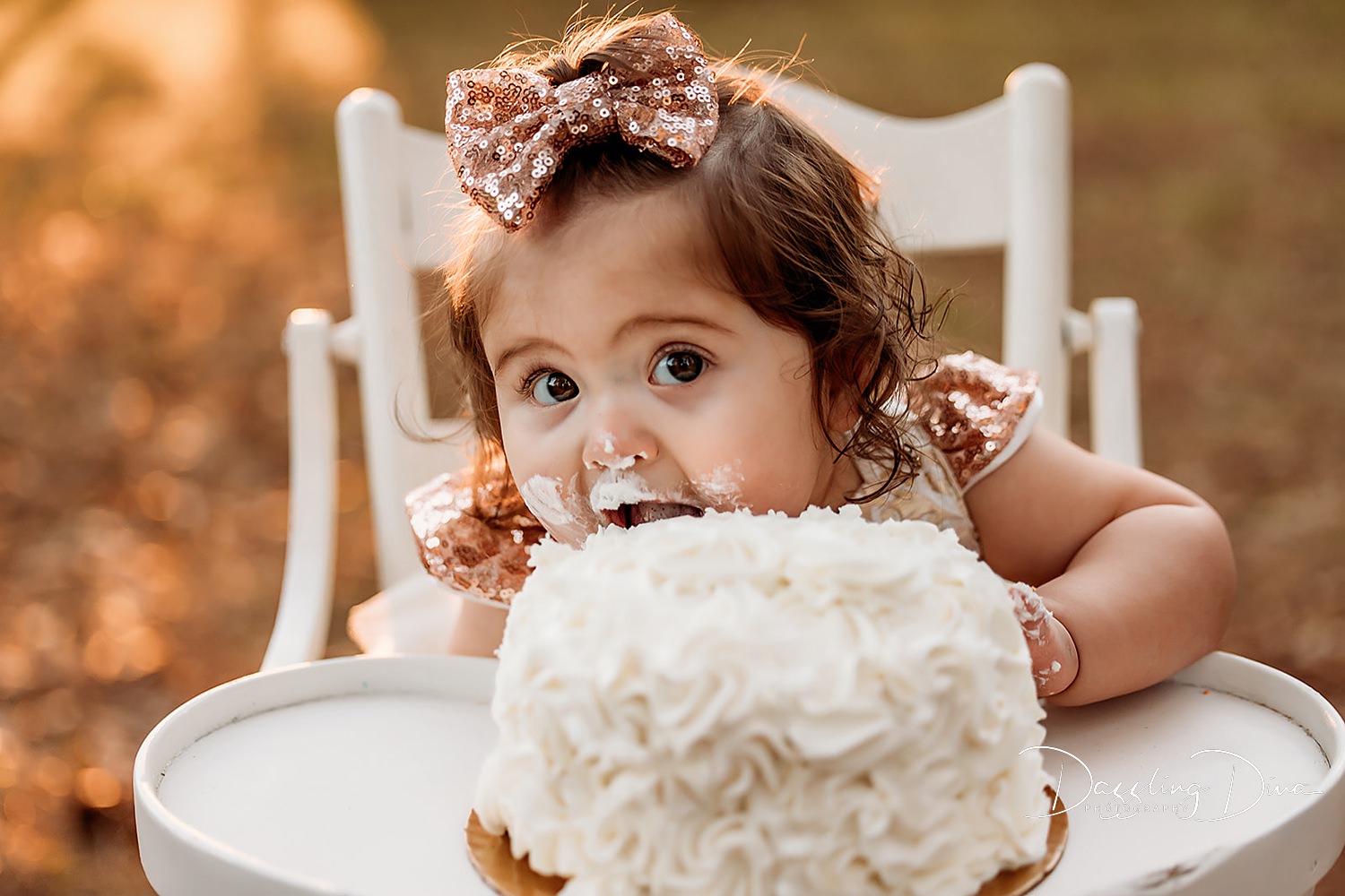 First Birthday Themes. The Woodlands Children's Photographer