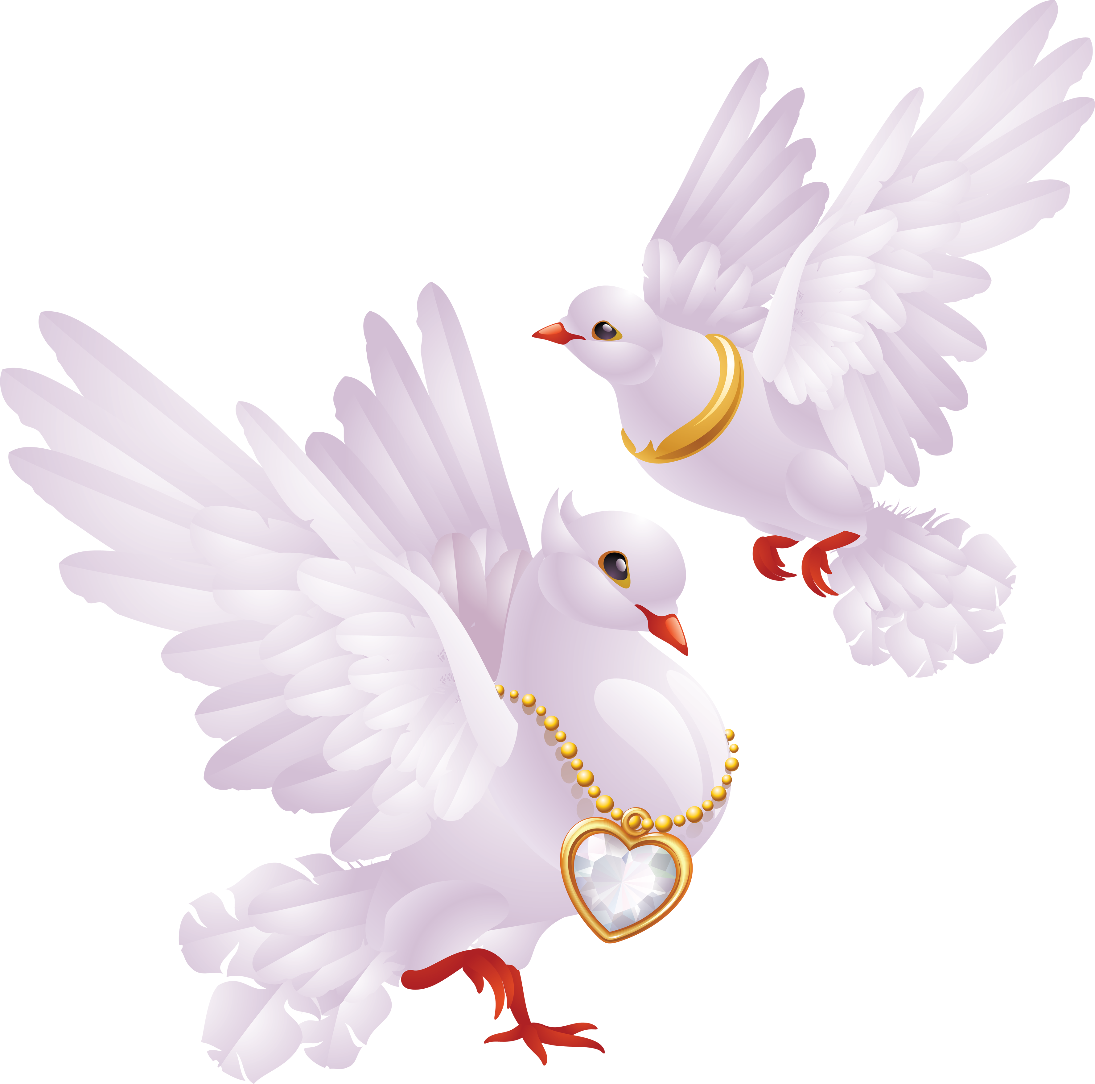 White pigeons PNG image