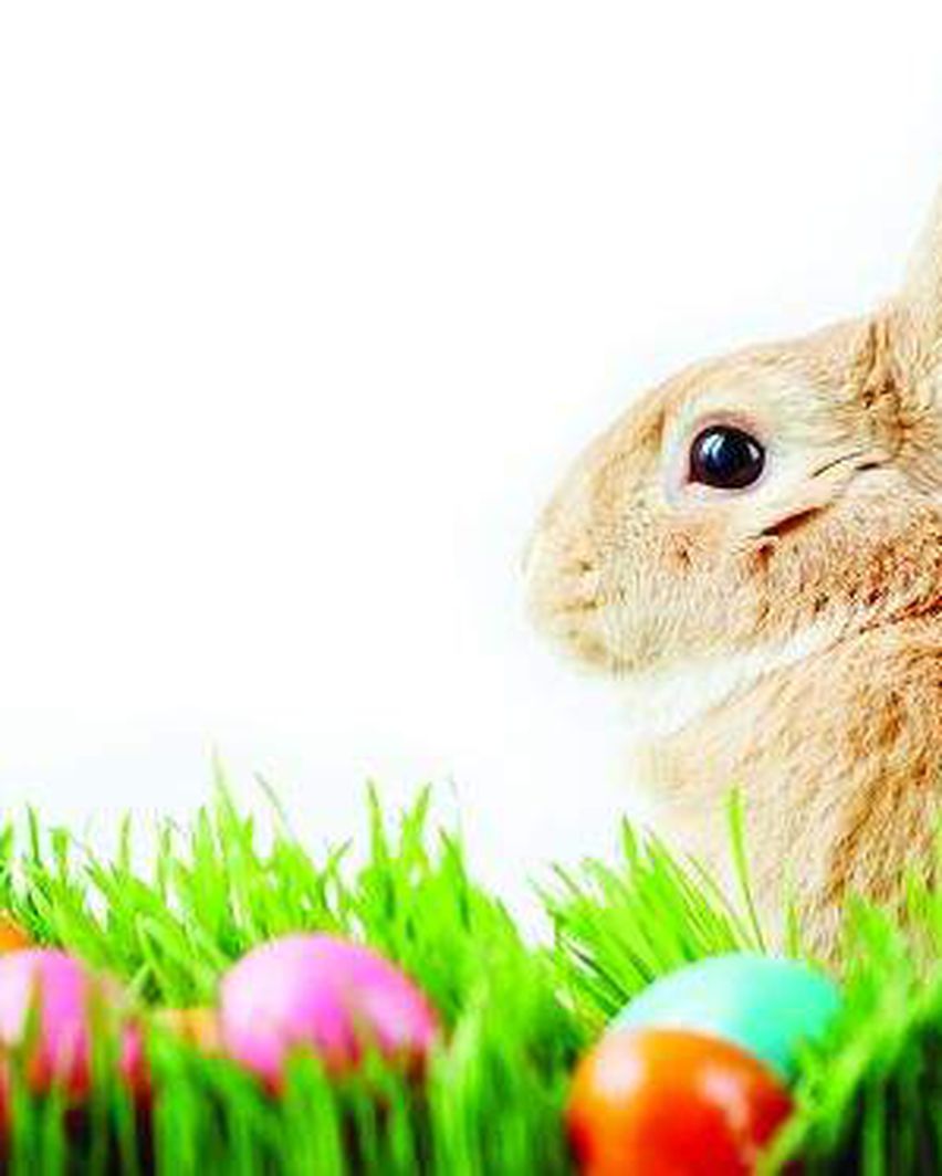 There's still plenty to do for Easter, at a distance and online