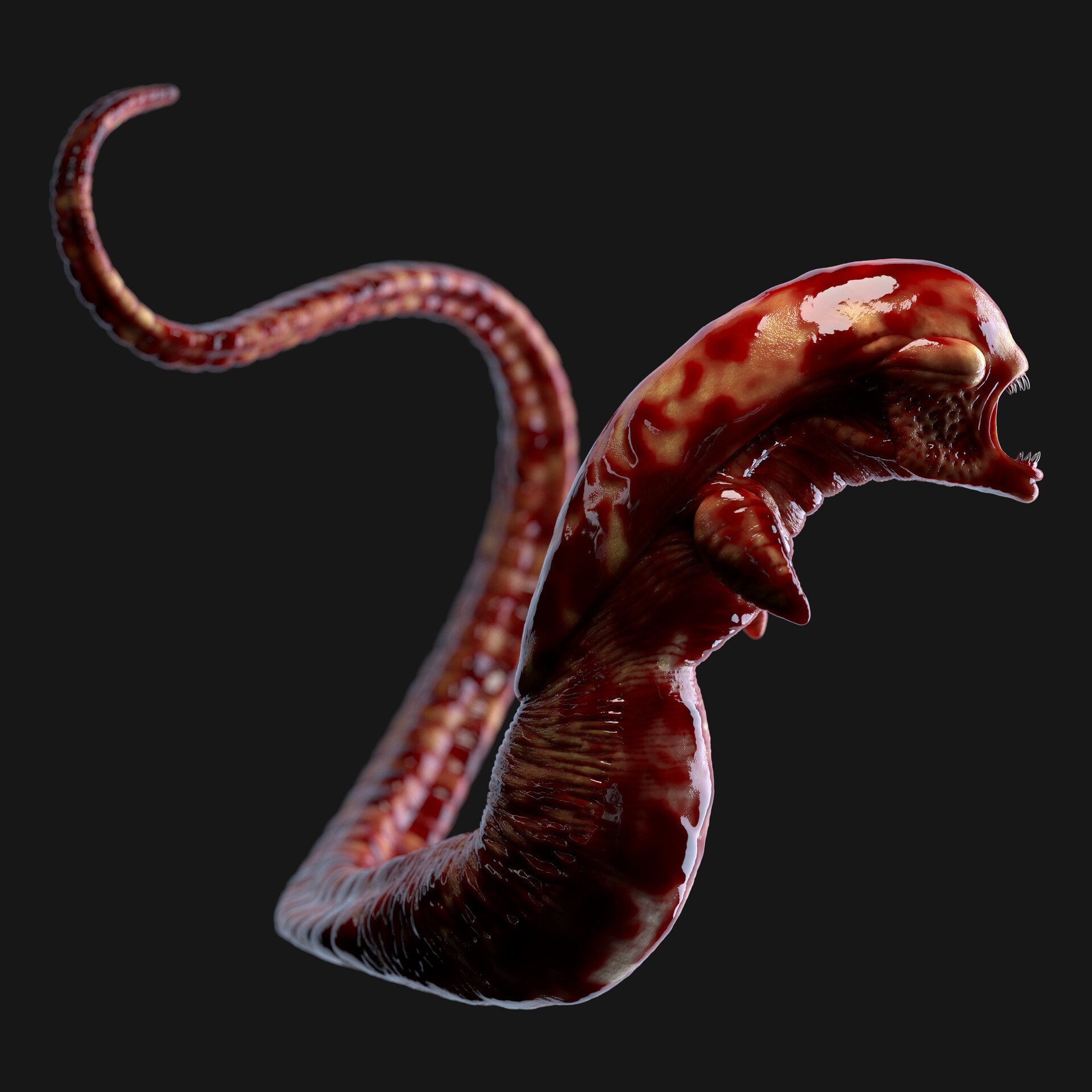 Chestburster Wallpapers Wallpaper Cave