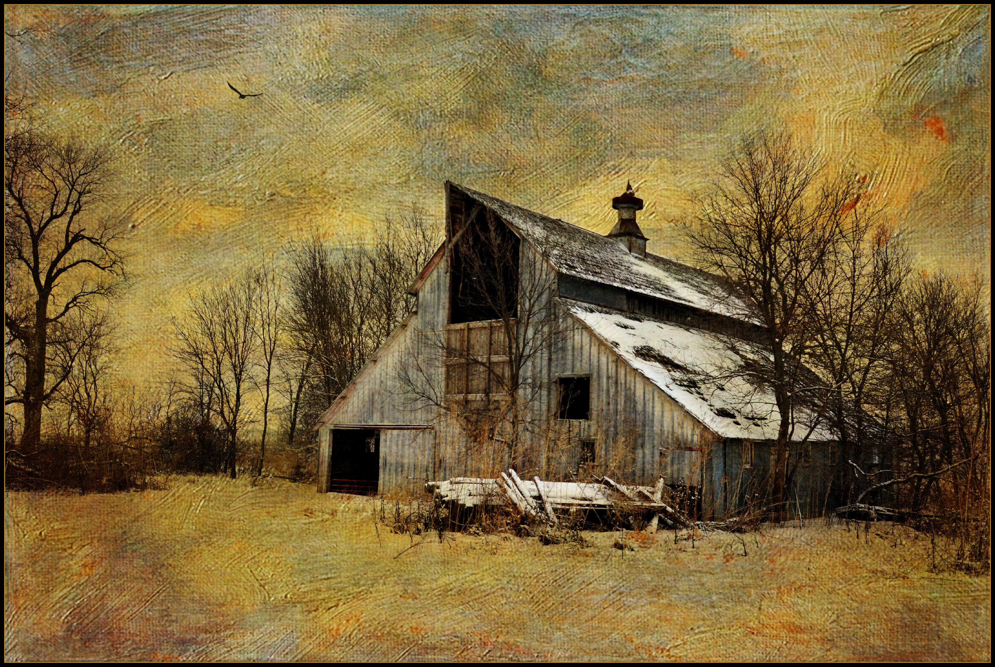 Wallpaper, winter, painterly, texture, abandoned, rural, Nikon, farm, country, Rustic, barns, Iowa, d memoriesbook, distressedjewellbirdbrush, lenabemanna 3353x2246