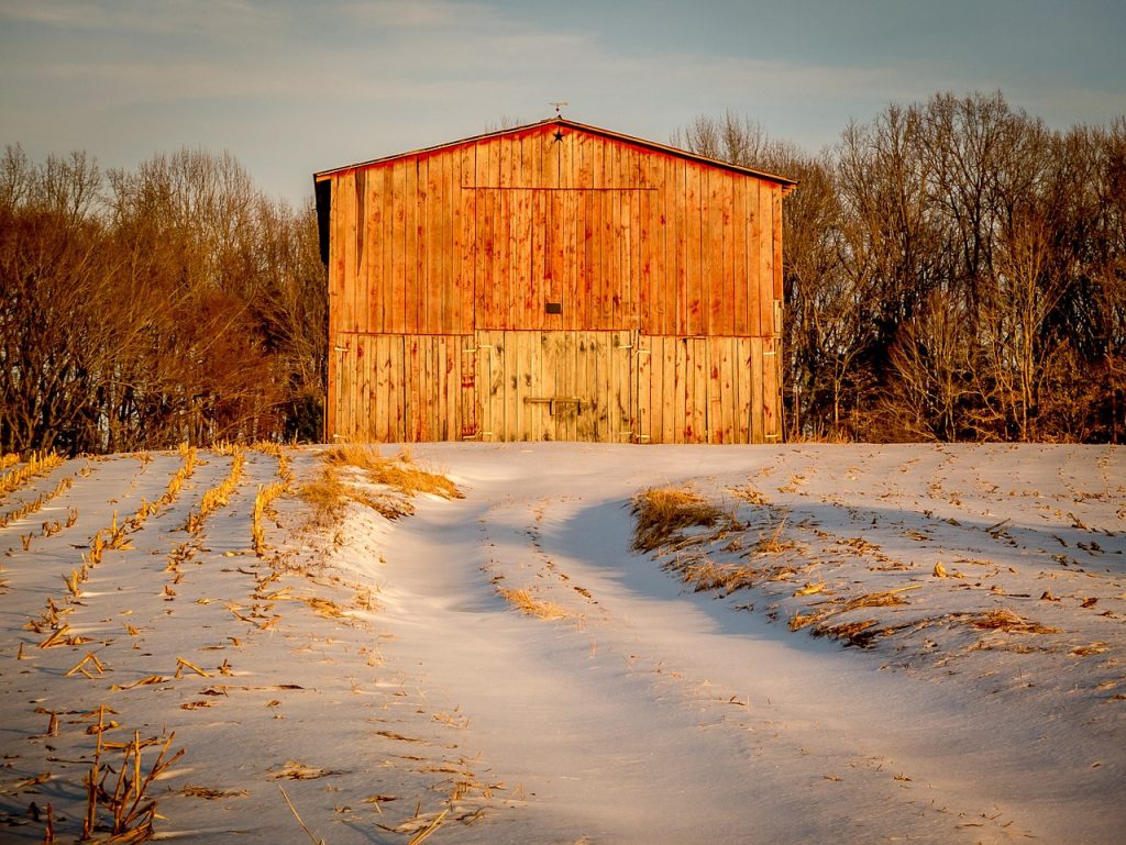 Part one: The old family barn and Dairy