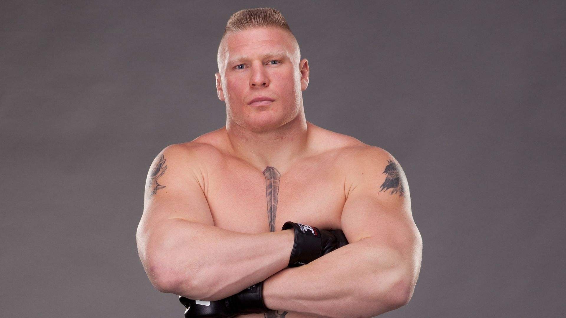 Brock Lesnar Wallpaper Best Brock Lesnar Background Download [ 35 + HD ]