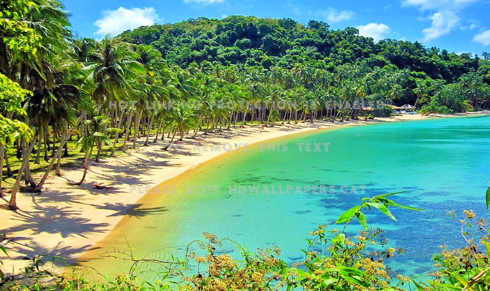 cabanas beach el nido palawan island sand