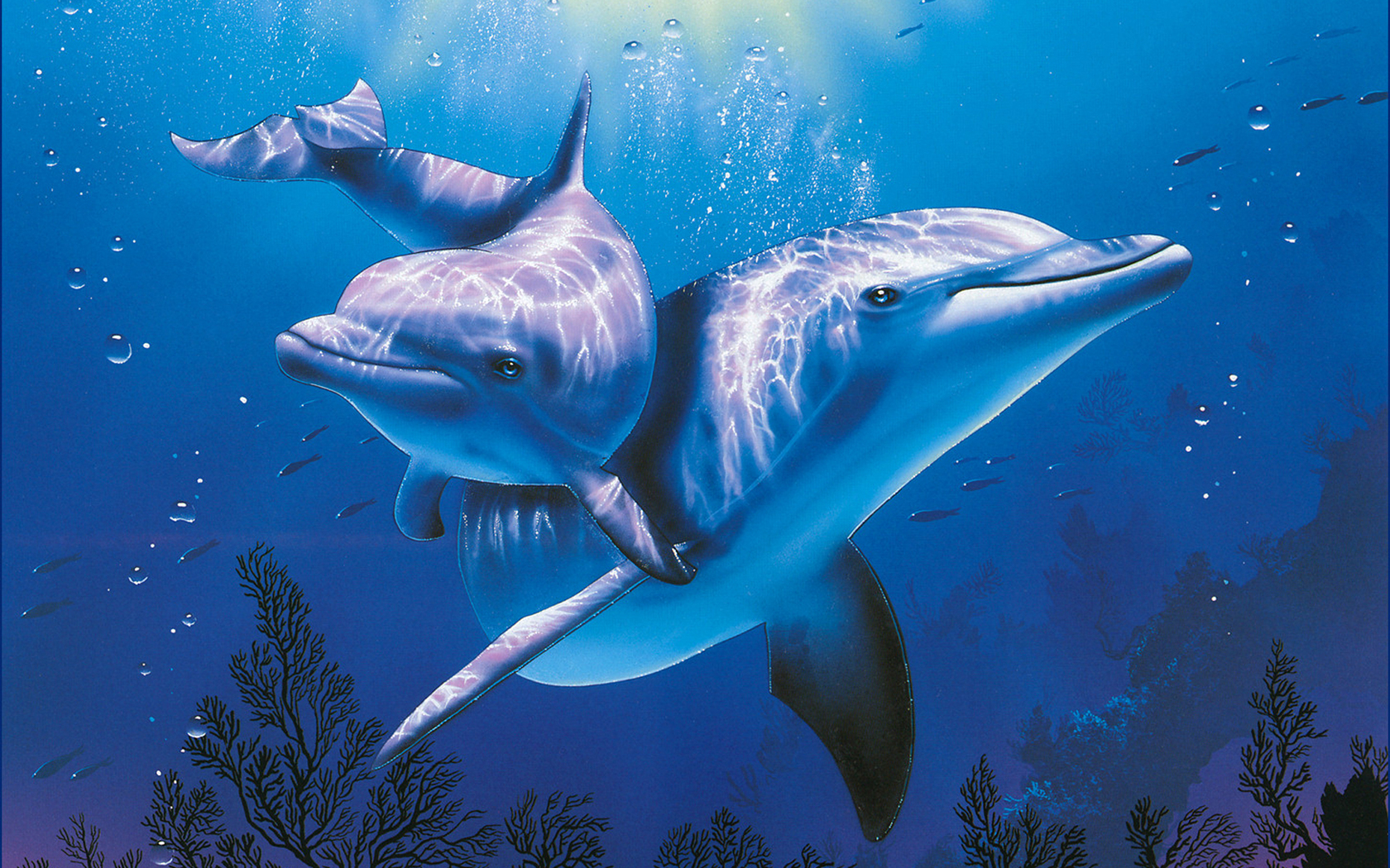 3D Dolphins Cartoon Wallpaper Picture Resolution Dolphin