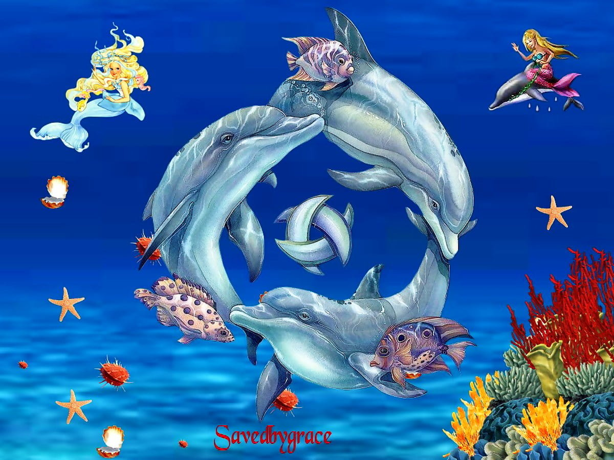 Dolphin, Cartoons, Bottlenose Dolphin wallpaper. Best Free background