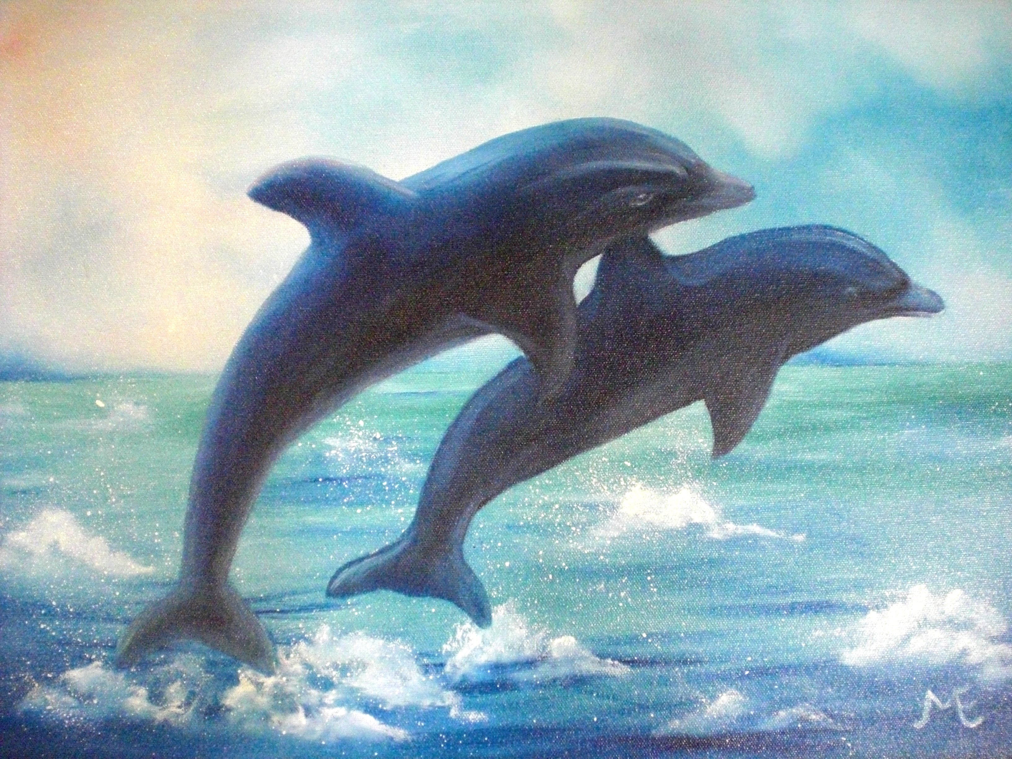 Free download Cartoon Dolphin Background wallpaper wallpaper HD background [3264x2448] for your Desktop, Mobile & Tablet. Explore Free Animated Dolphin Wallpaper DesktopD Moving Wallpaper Free, Free Animated Wallpaper
