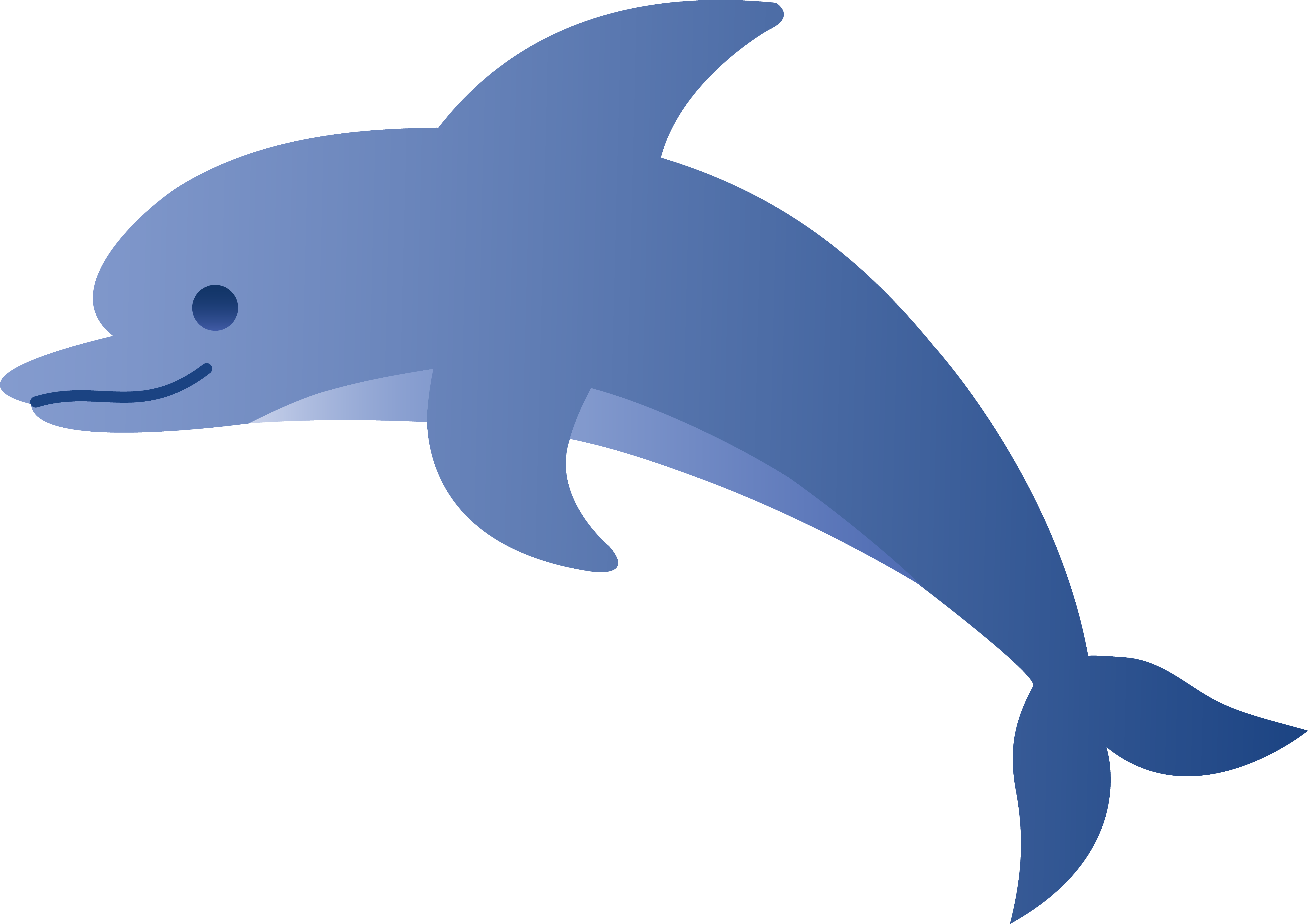 transparent dolphin clipart