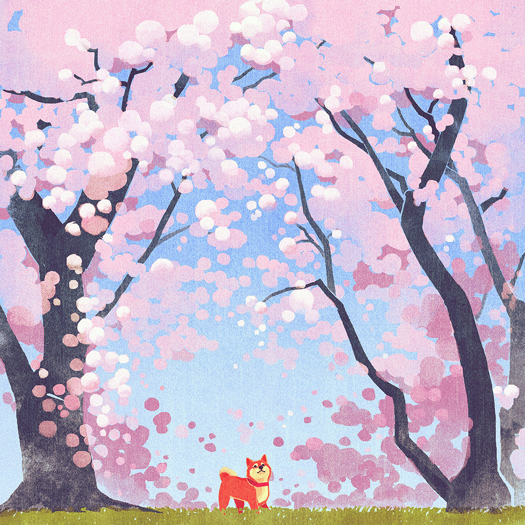Cute Siba Dog Animal Spring Illustration Art Pink Wallpaper