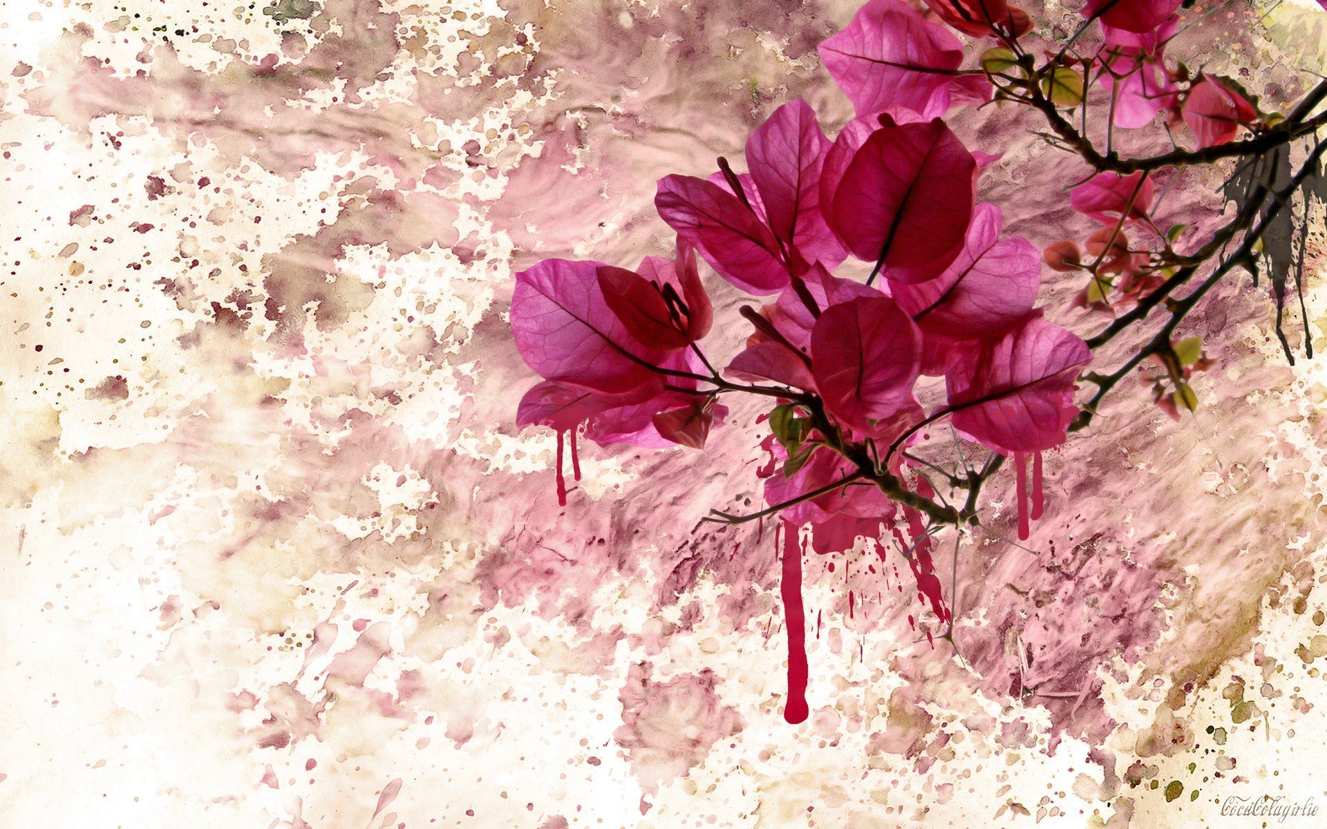 Flower Art Wallpaper Free Flower Art Background