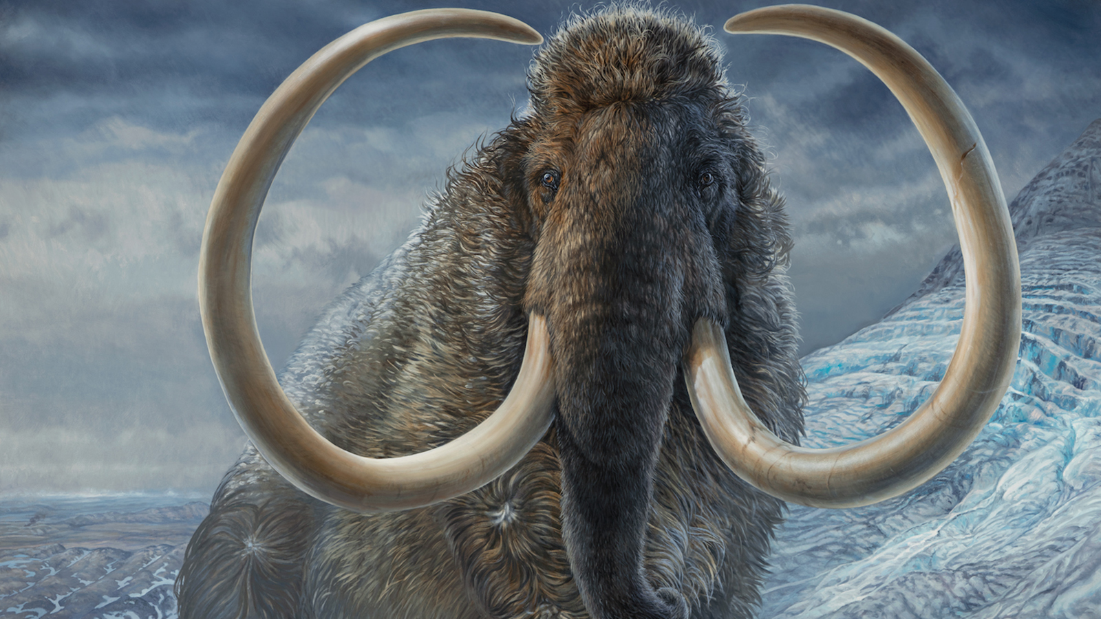 Woolly Mammoth Wallpapers - Wallpaper Cave