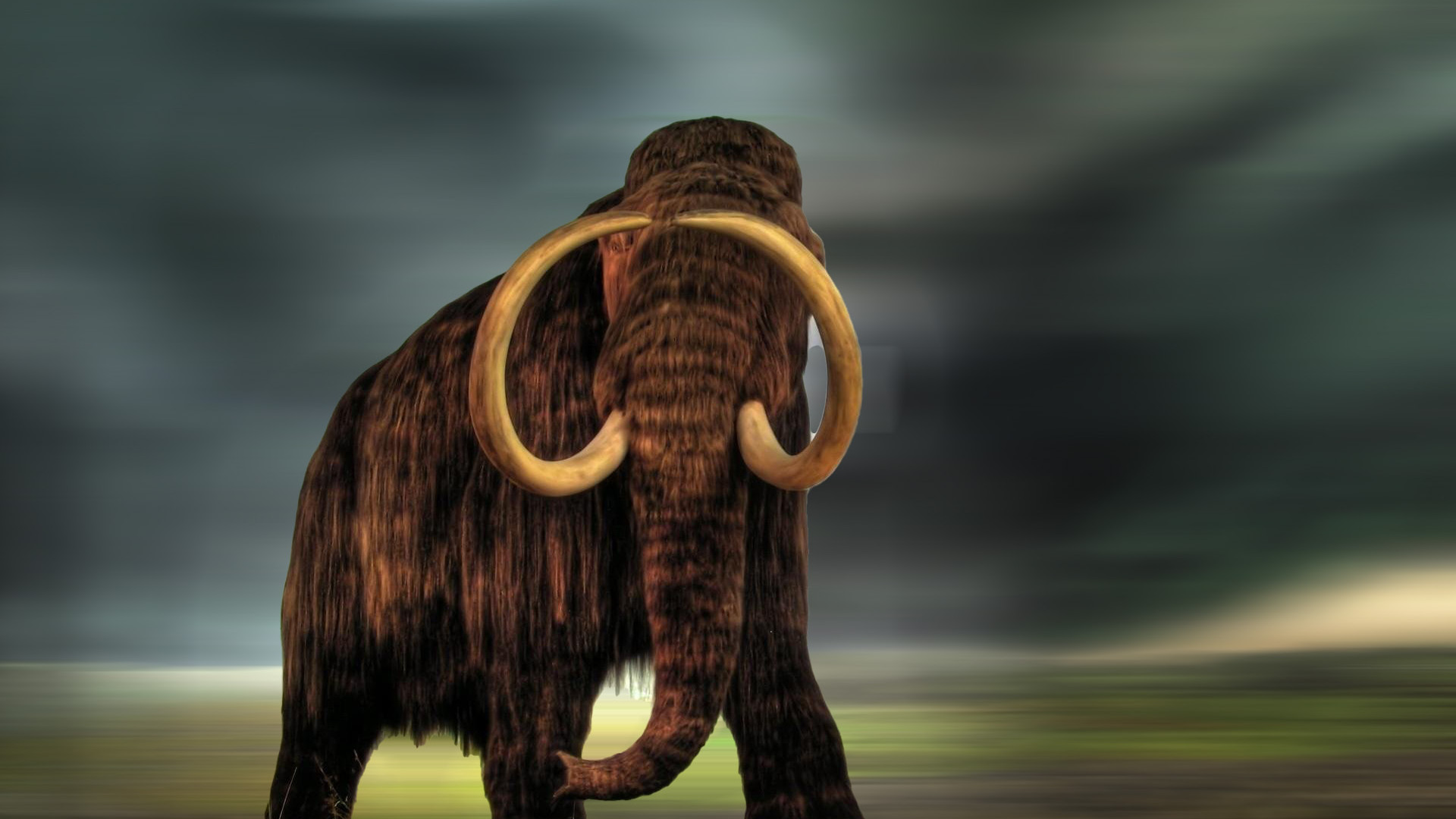 Mammoth HD Background Wallpaper 74817