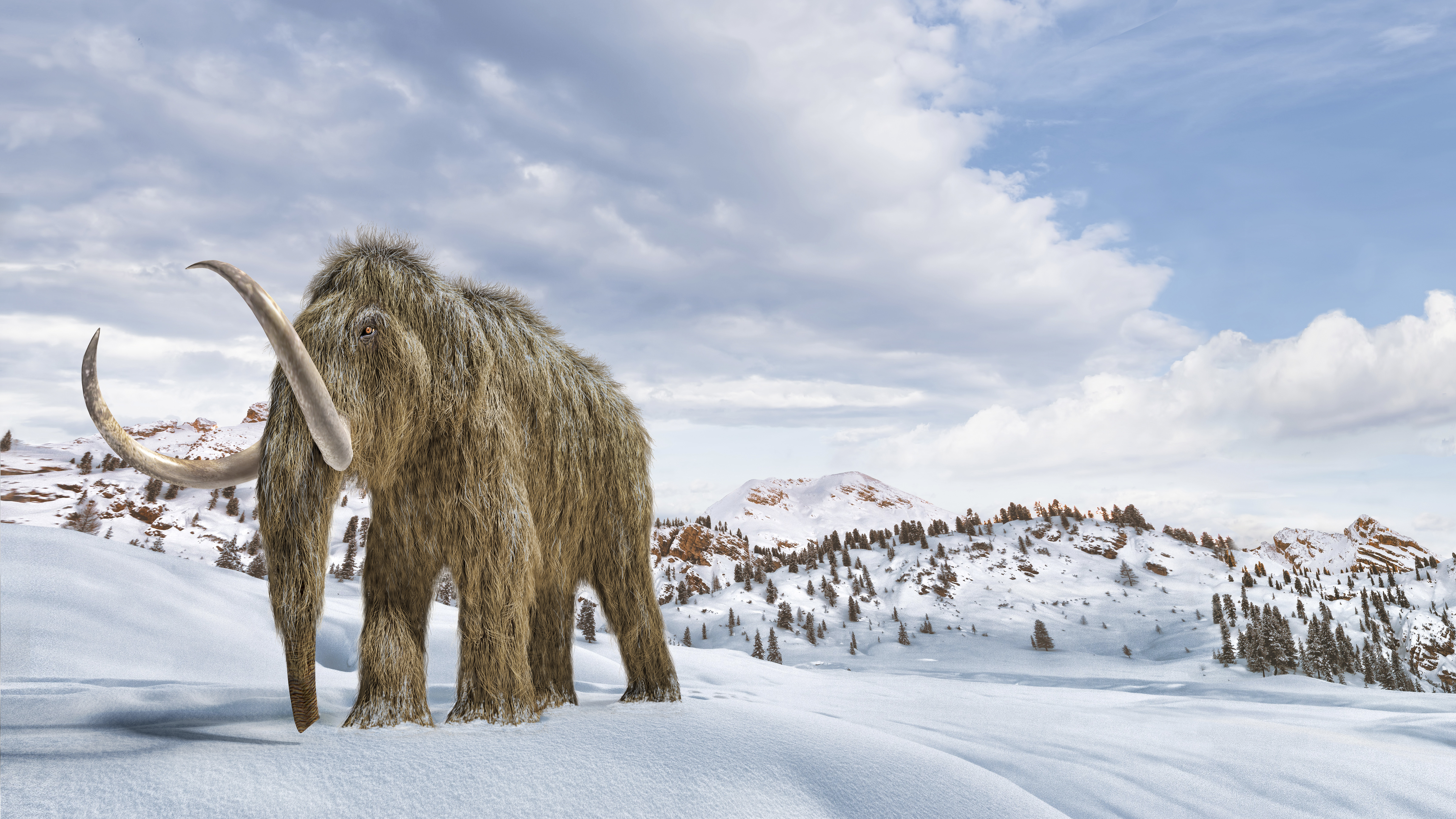 A New Company Wants To Resurrect The Woolly Mammoth Using DNA Splicing