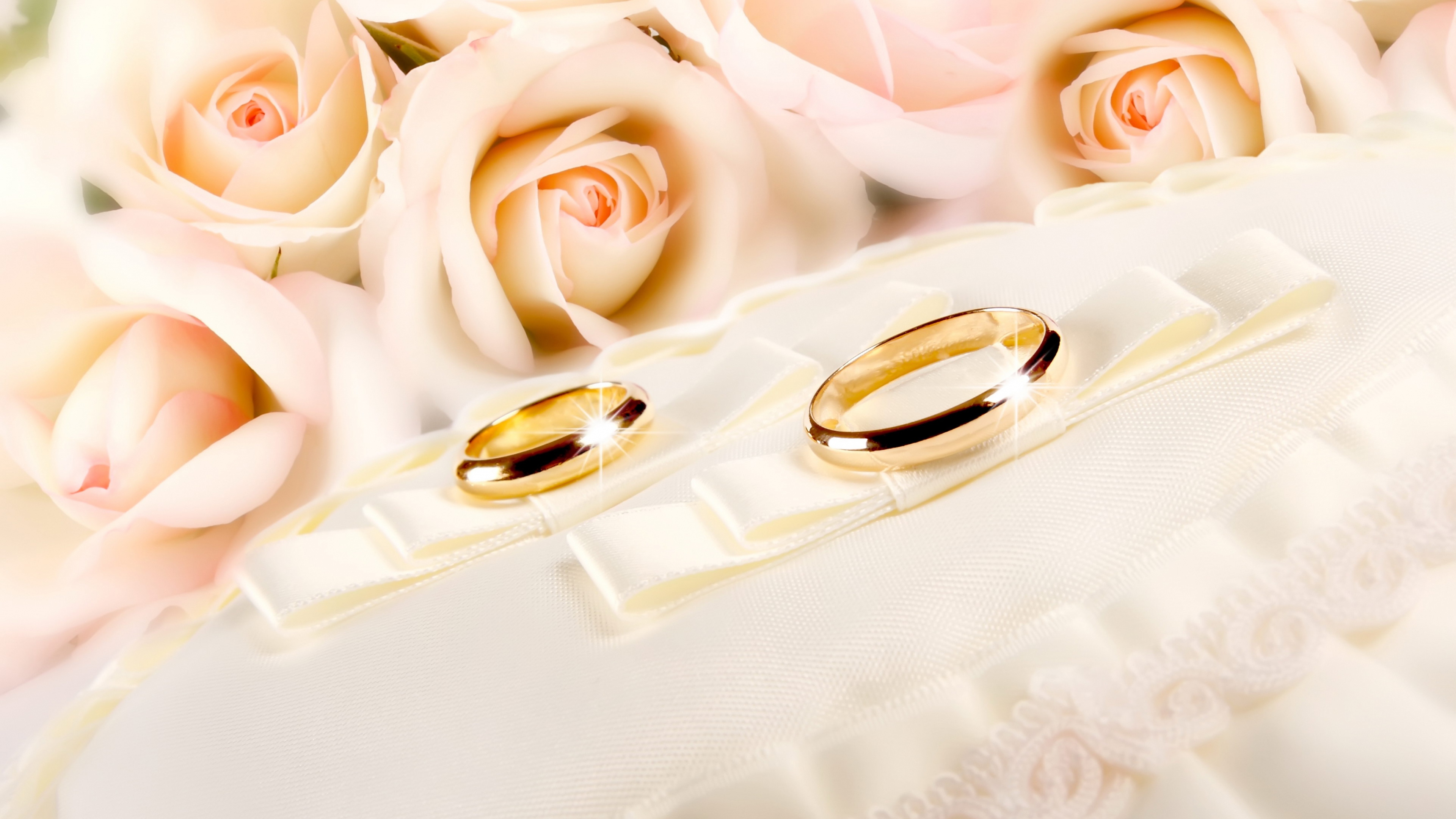 Golden rings near the pink roses